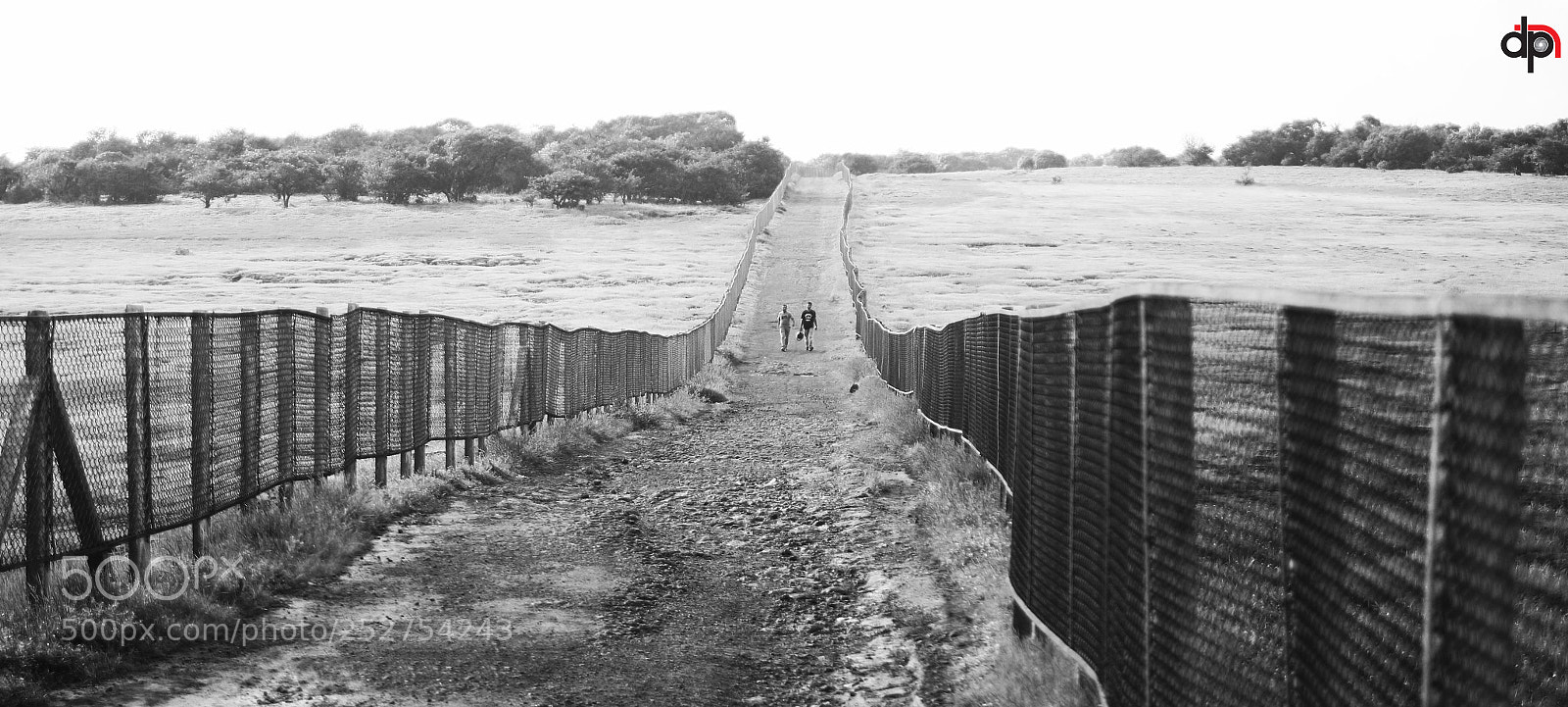 Canon EOS 60D sample photo. A long walk with photography