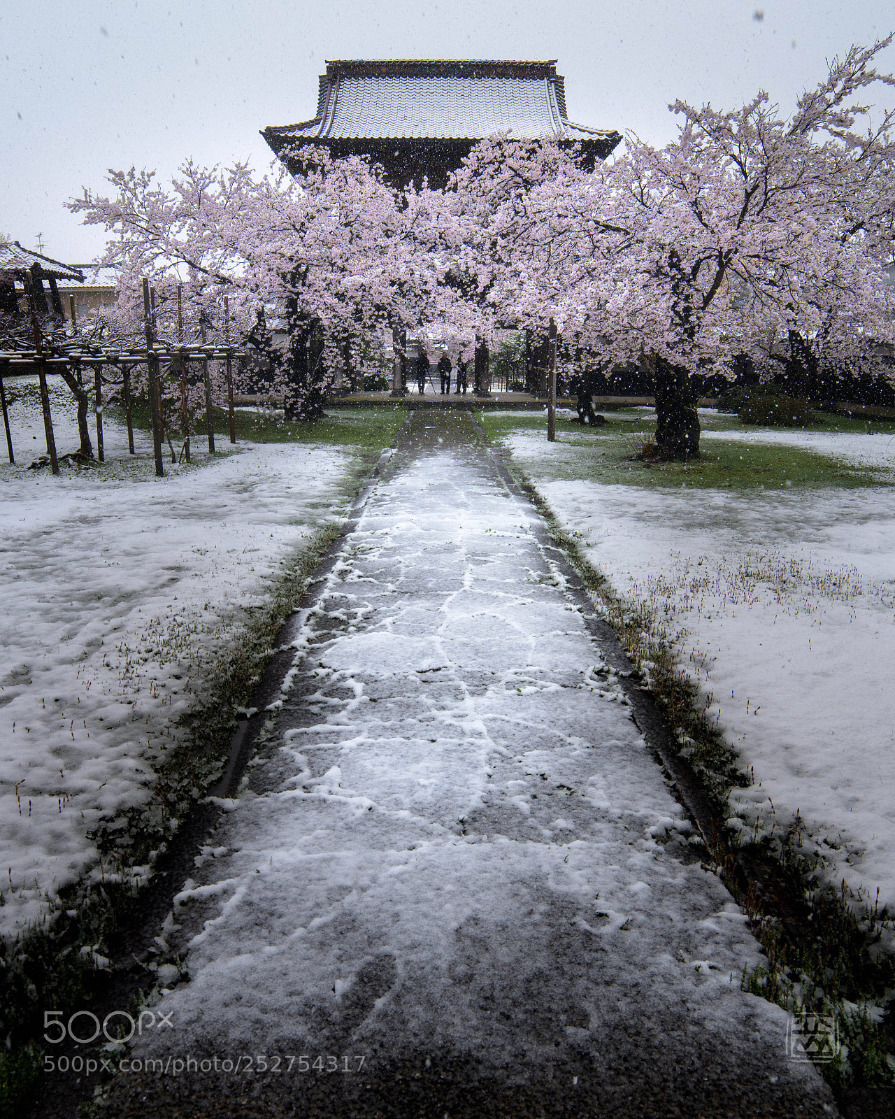 Nikon D850 sample photo. Hoko-ji photography