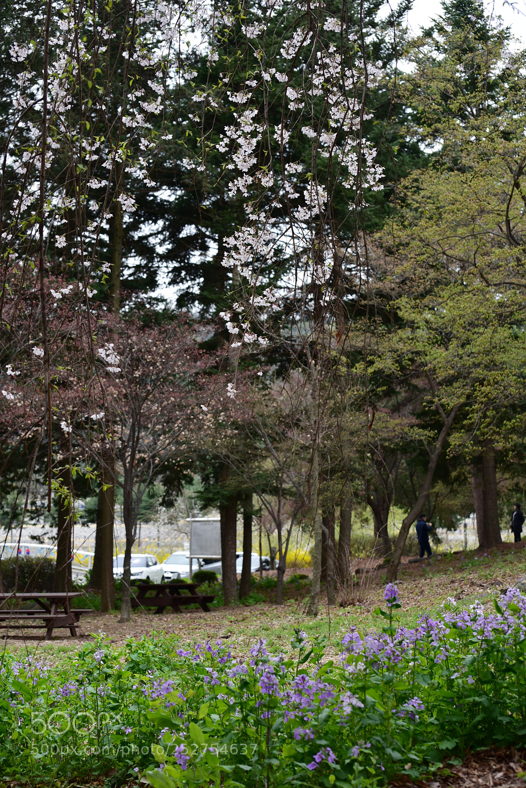 Nikon D810 sample photo. Untitled photography