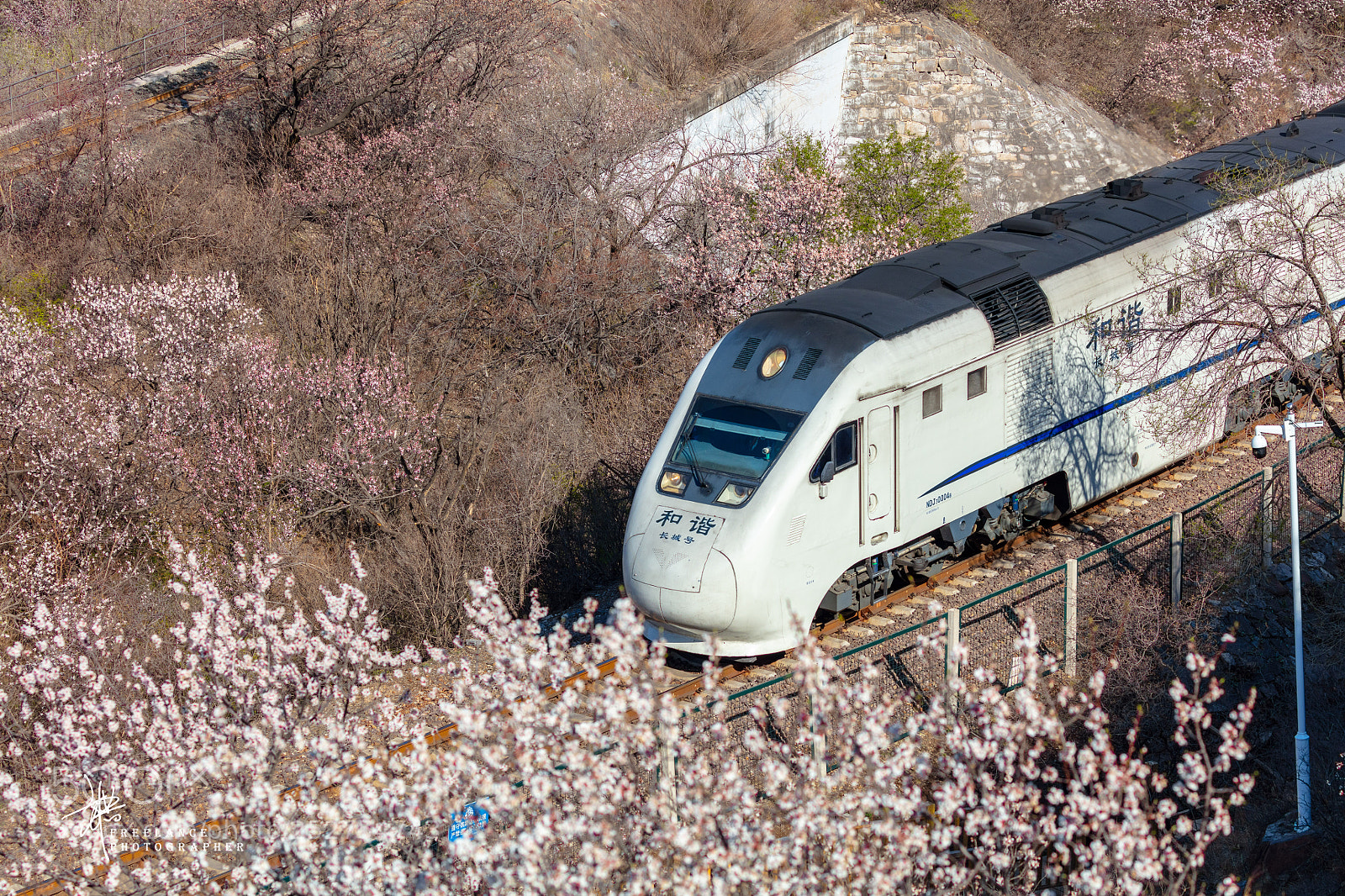 Canon EOS 5DS sample photo. 春天的火车 photography