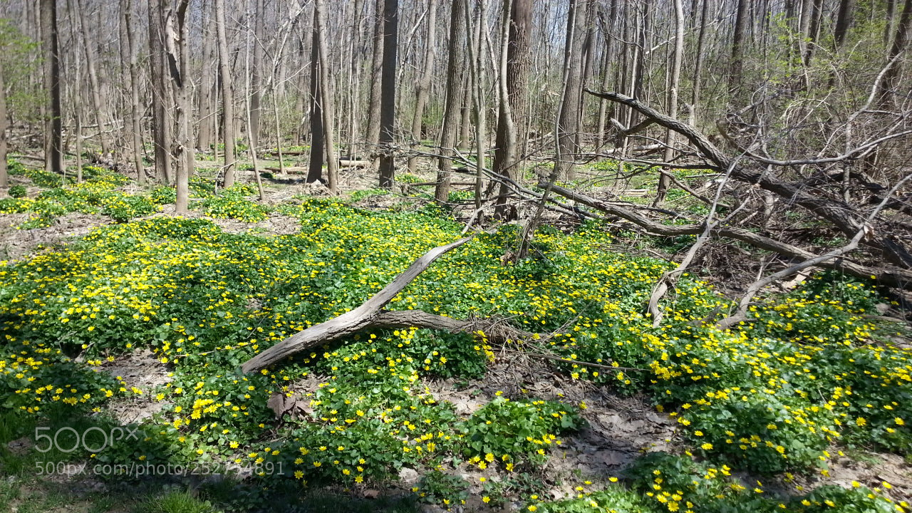 Samsung Galaxy S3 sample photo. 20140419_133403.jpg photography