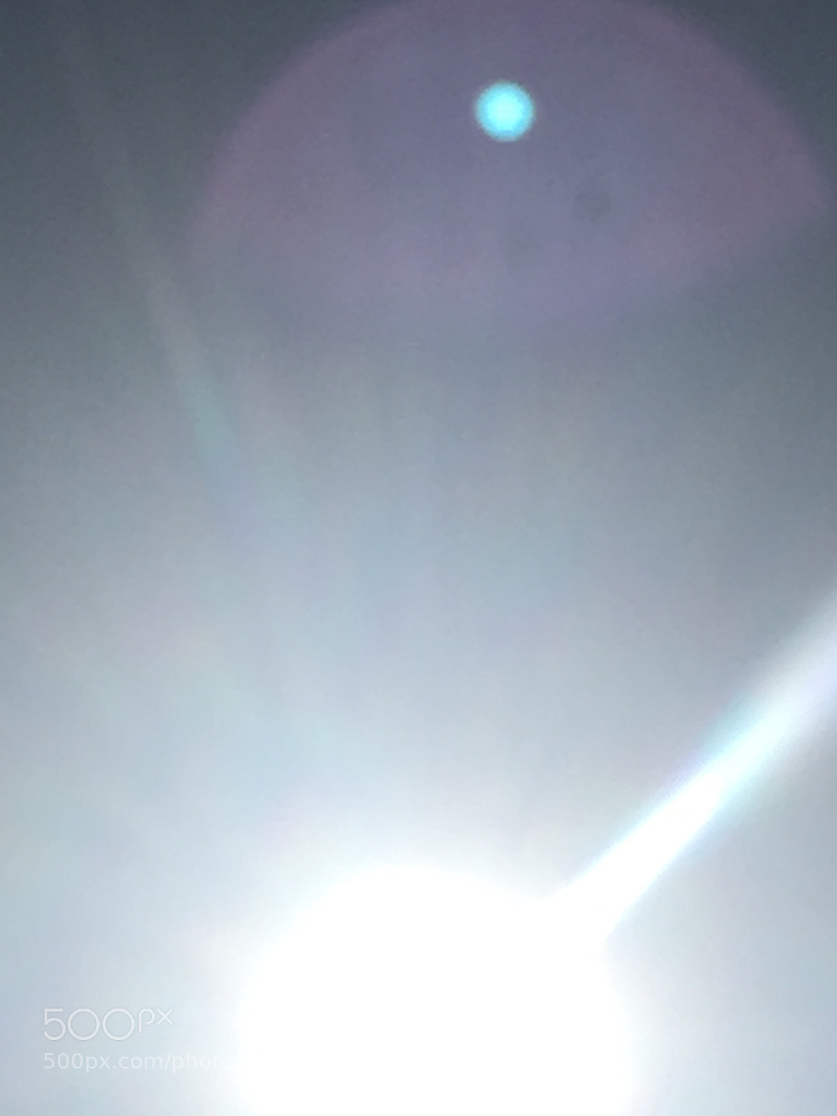 Apple iPhone 6s sample photo. Purple mystery in the photography