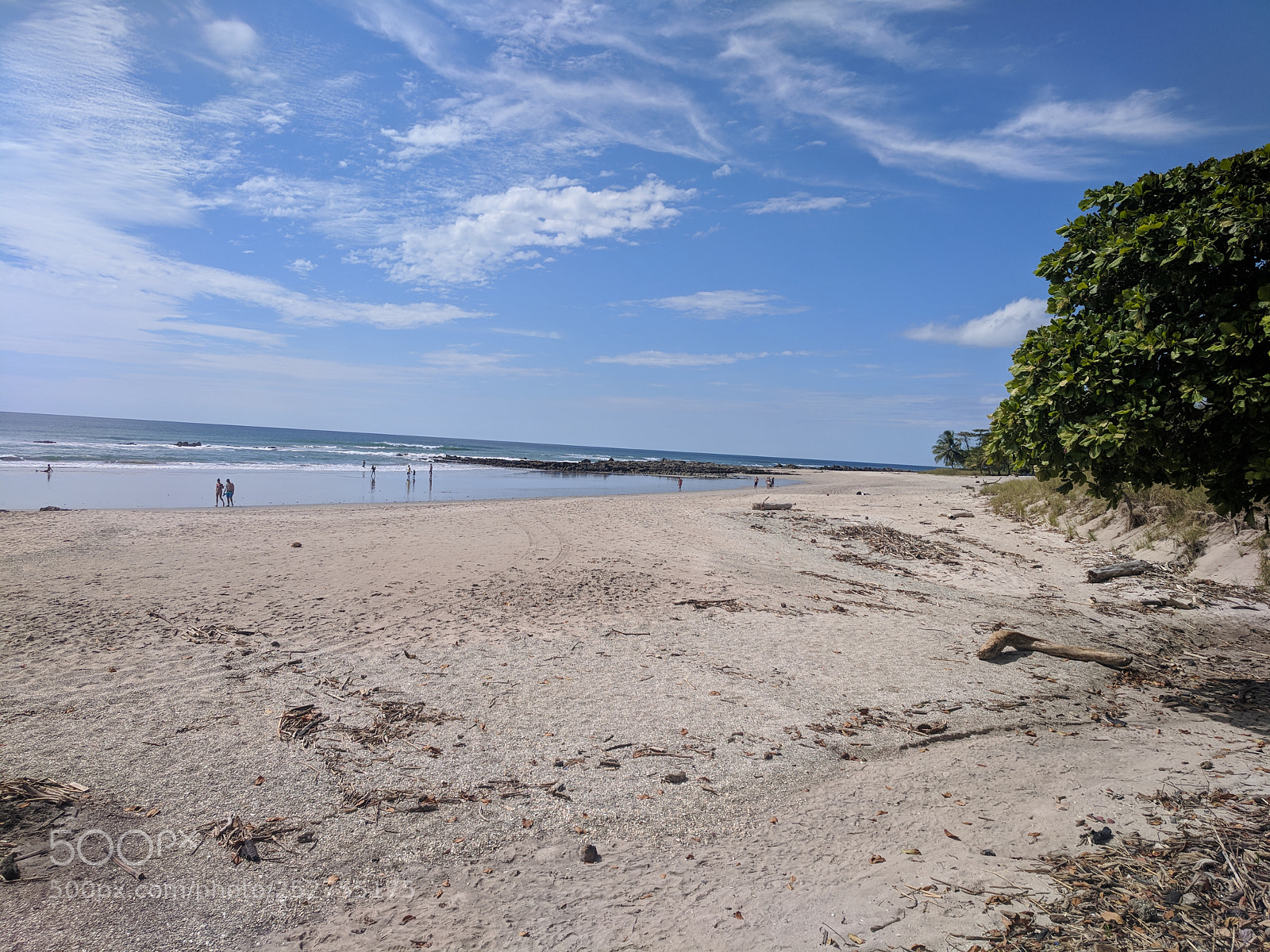 Google Pixel sample photo. Img_20180108_131345.jpg photography