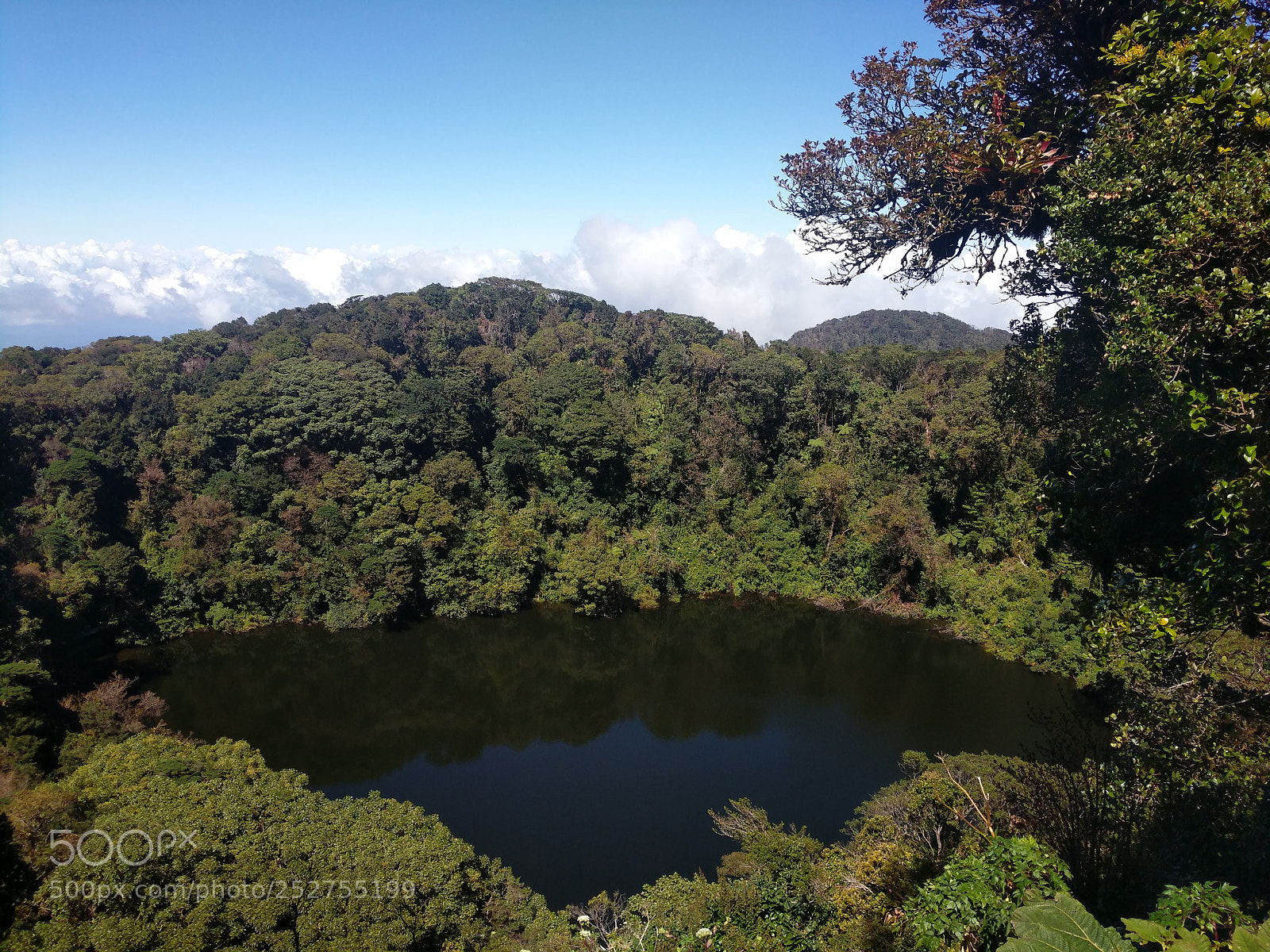 Google Pixel sample photo. Img_20180223_134254.jpg photography