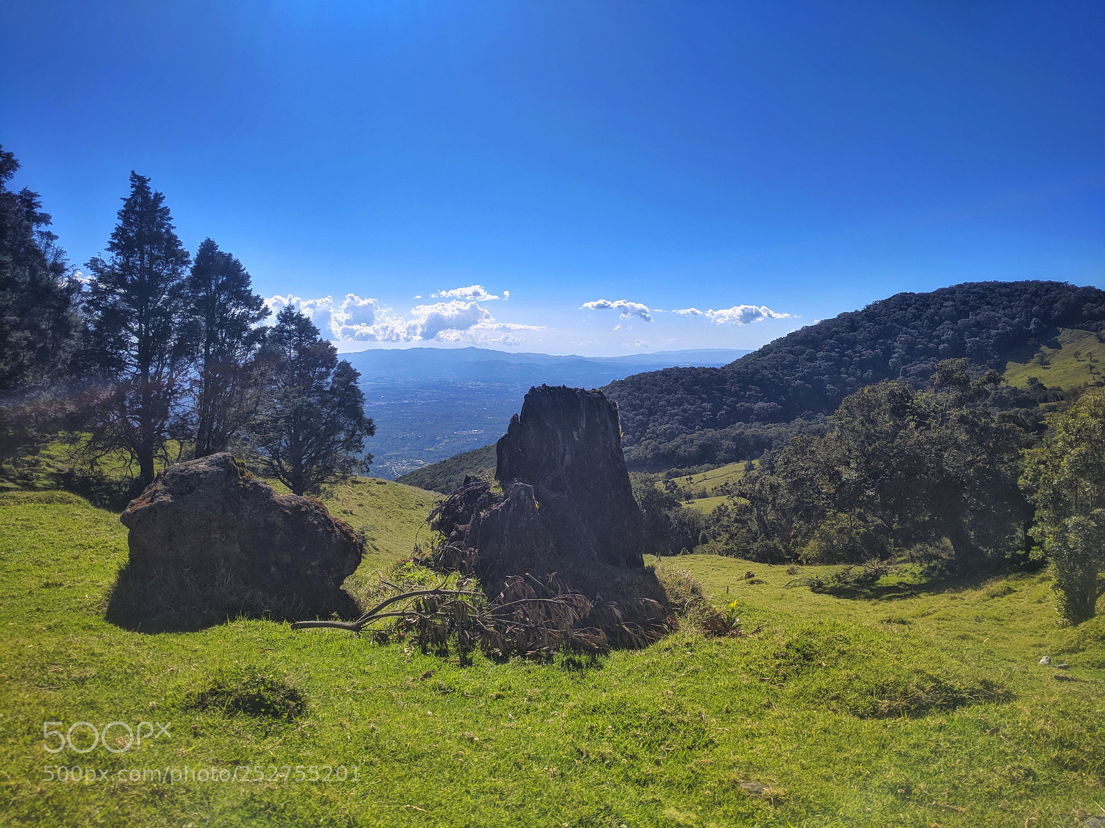 Google Pixel sample photo. Img_20180223_144723-01.jpeg photography