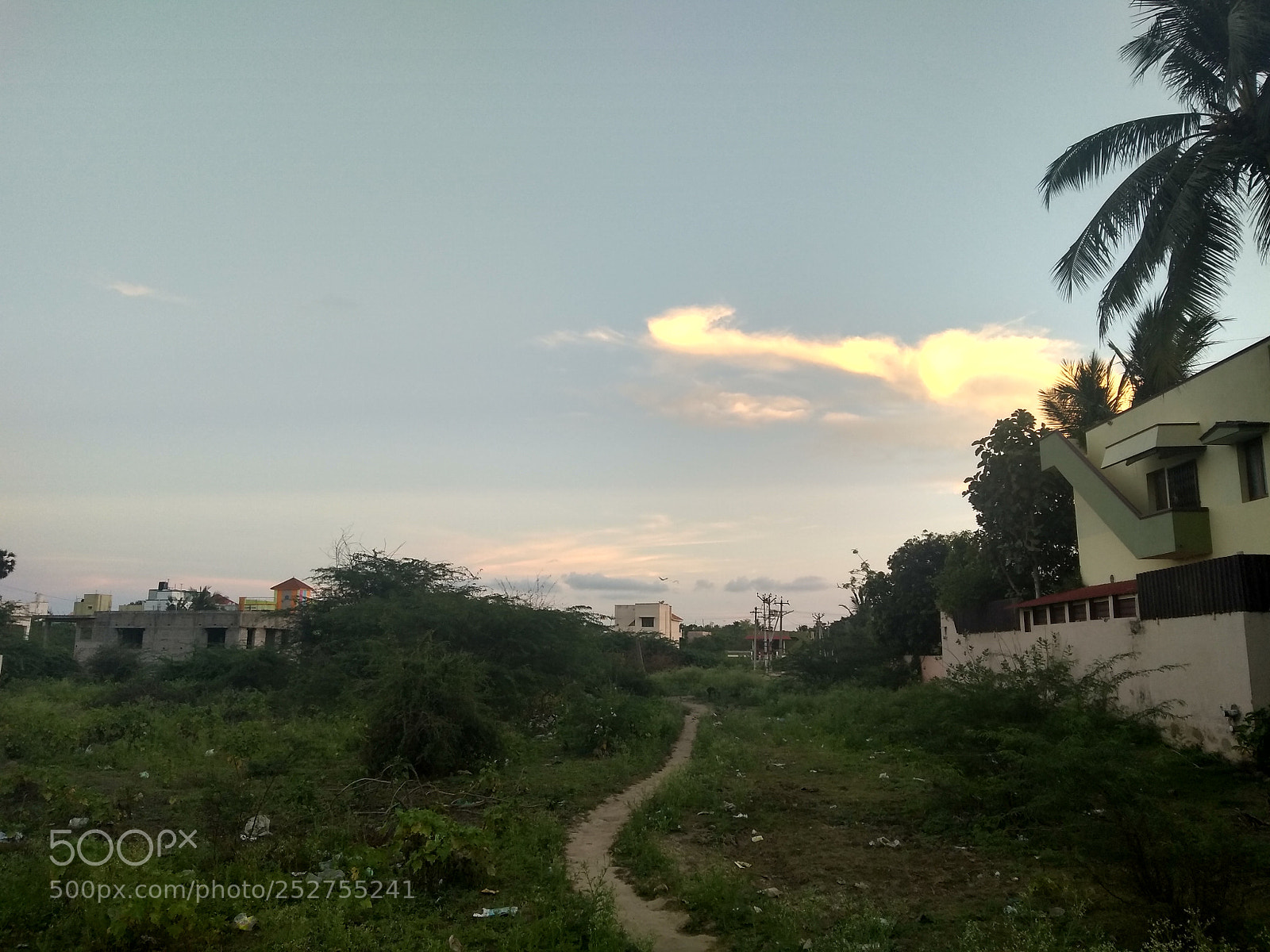 Motorola Moto G (5S) Plus sample photo. Untitled photography