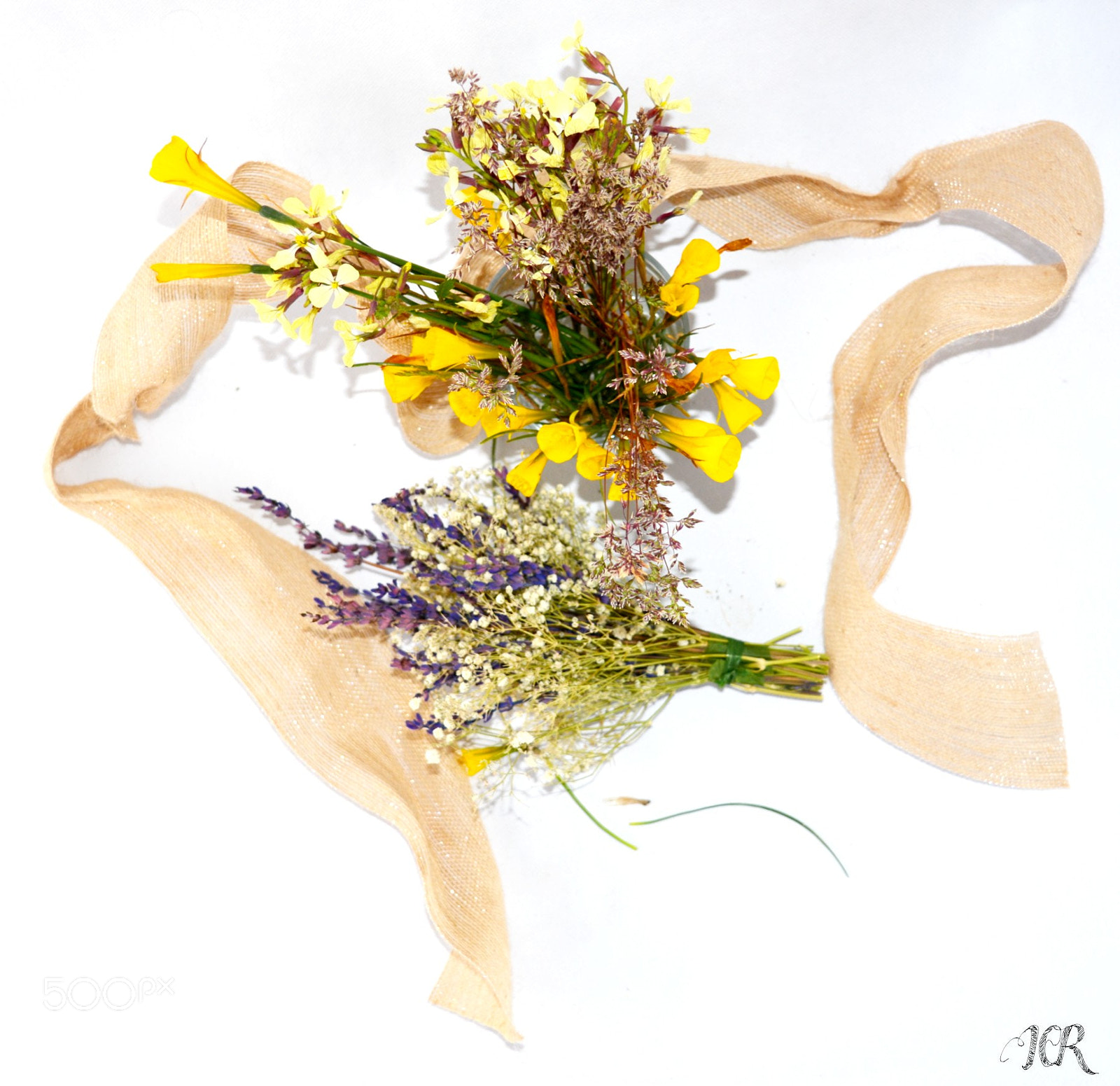 Nikon D5200 sample photo. Flores frescas photography