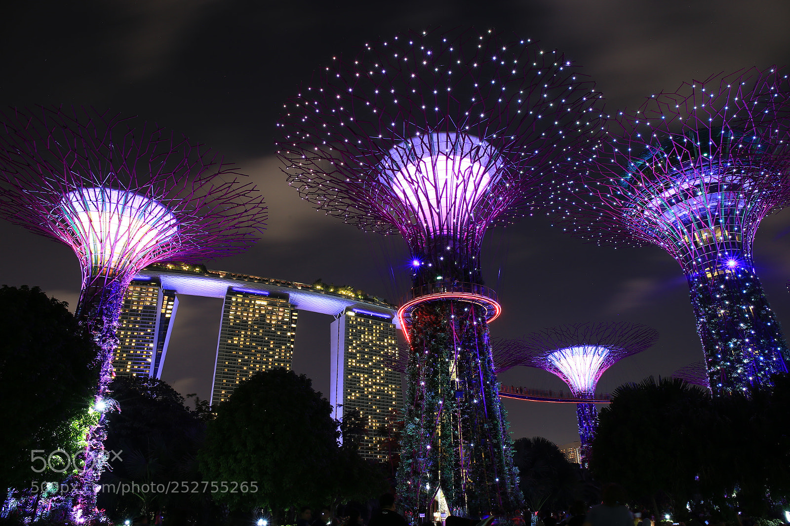 Canon EF 24-70mm F4L IS USM sample photo. Super tree, singapore photography