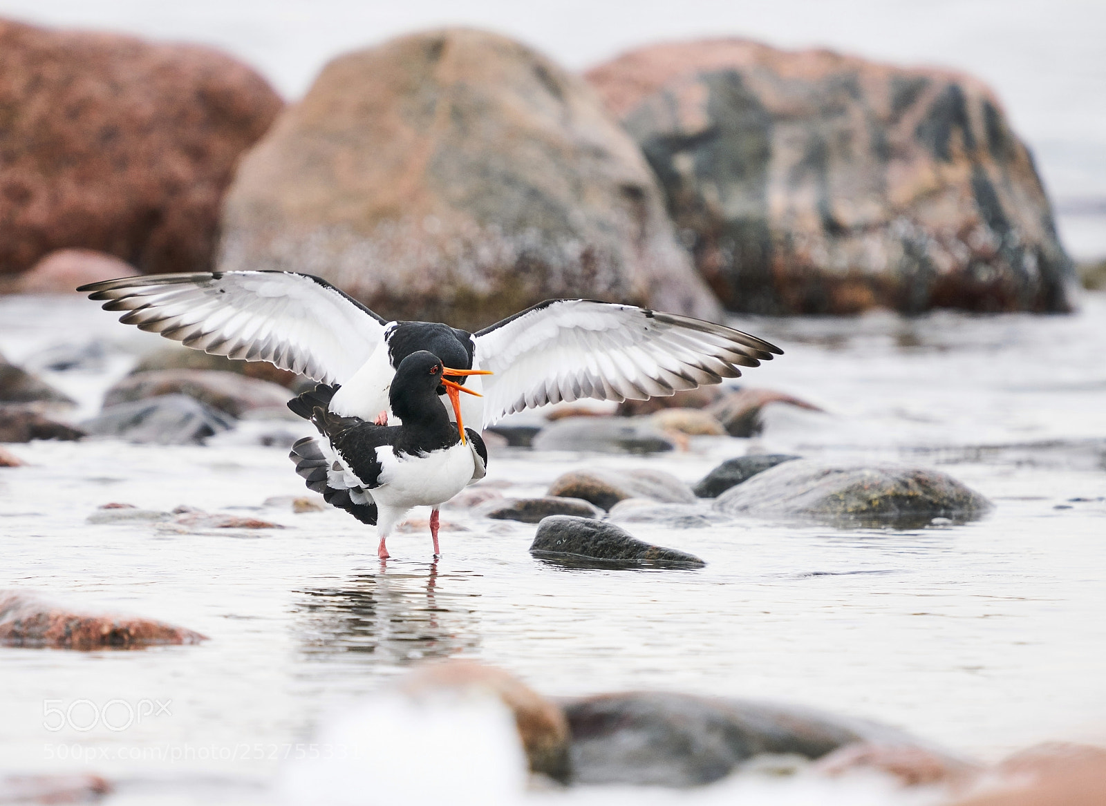 Sony a7R II sample photo. Remigrants and initialisation of photography