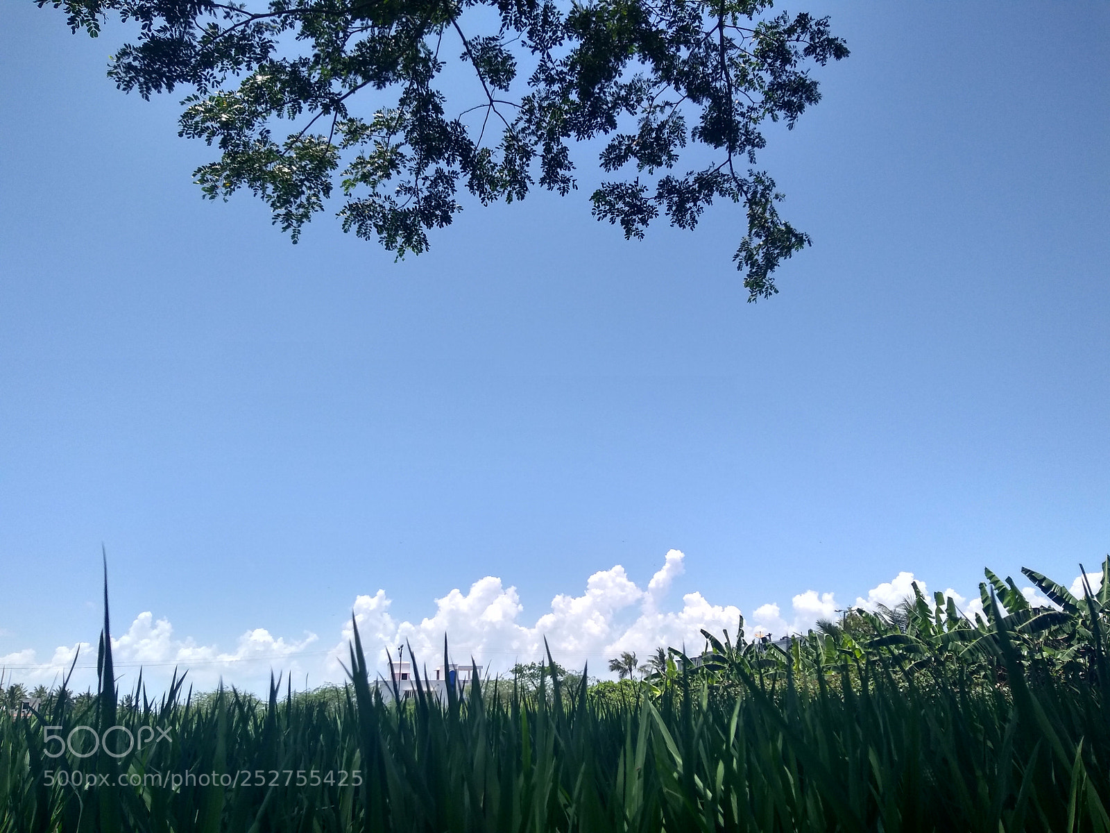 Motorola Moto G (5S) Plus sample photo. Untitled photography