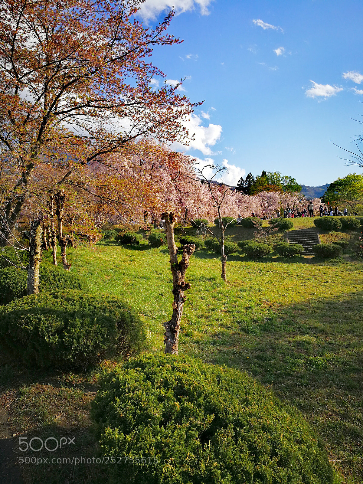 HUAWEI Mate 9 sample photo. 羊山公園 photography