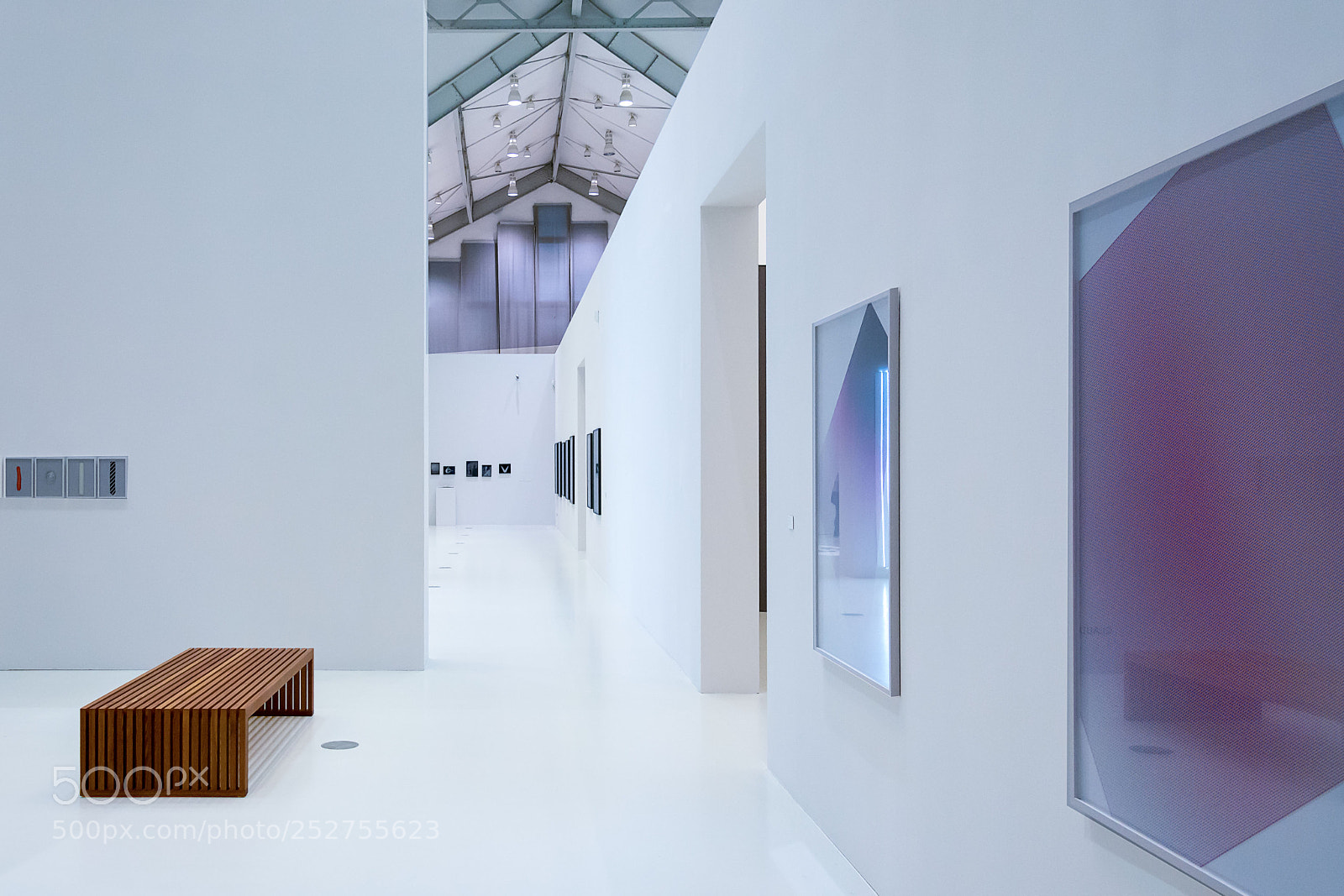 Nikon D7100 sample photo. Exhibition photography
