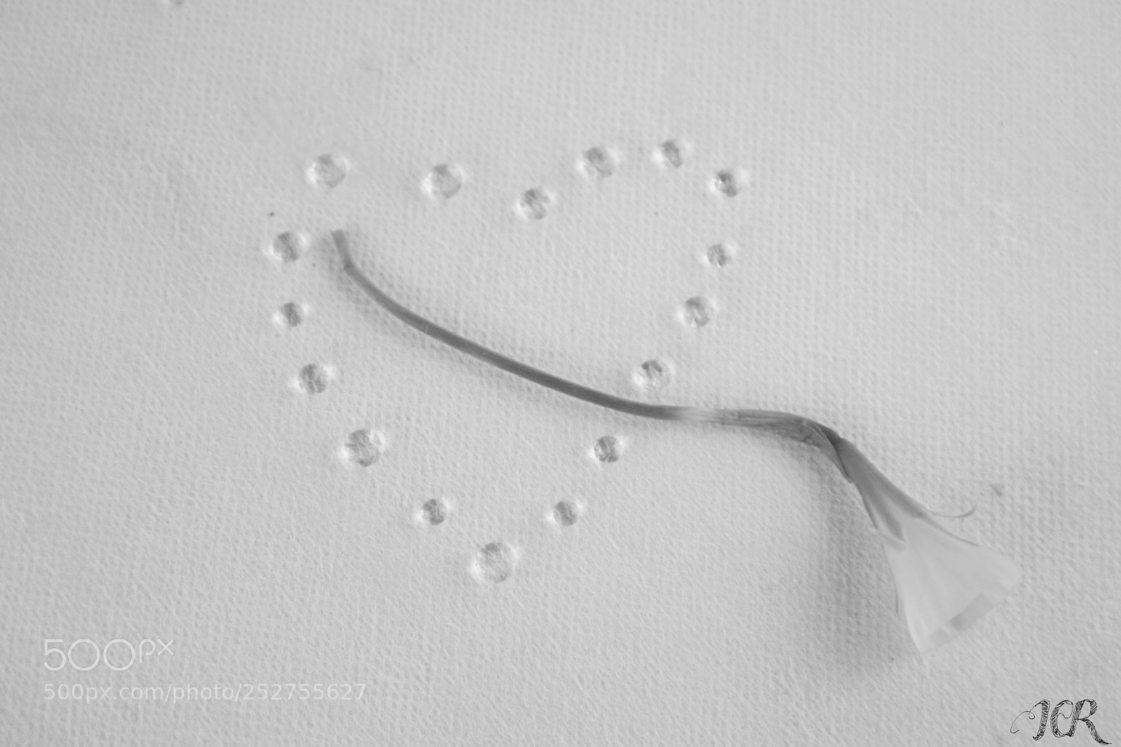 Nikon D5200 sample photo. Corazón photography