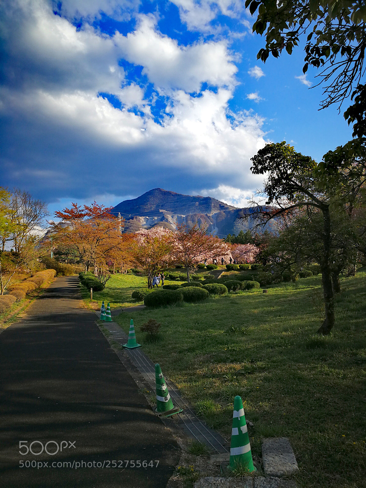 HUAWEI Mate 9 sample photo. 羊山公園 photography