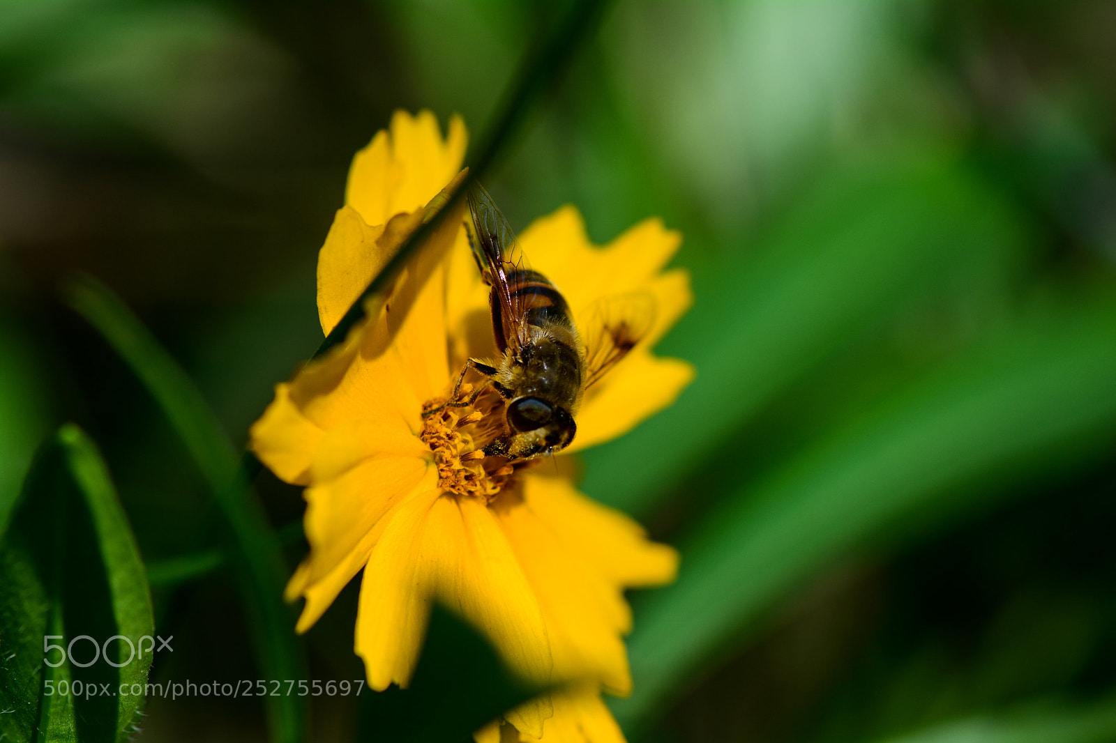 Nikon D7100 sample photo. Hard working photography
