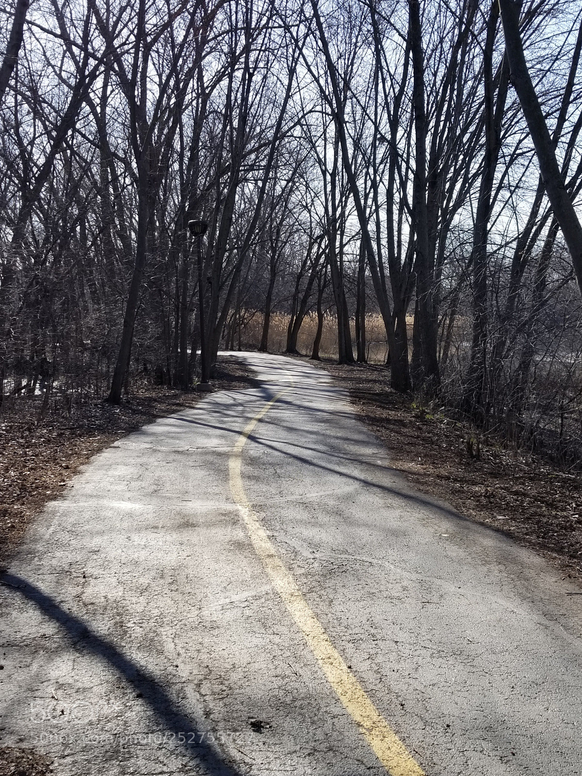 Samsung Galaxy S8 sample photo. Oh the long and photography