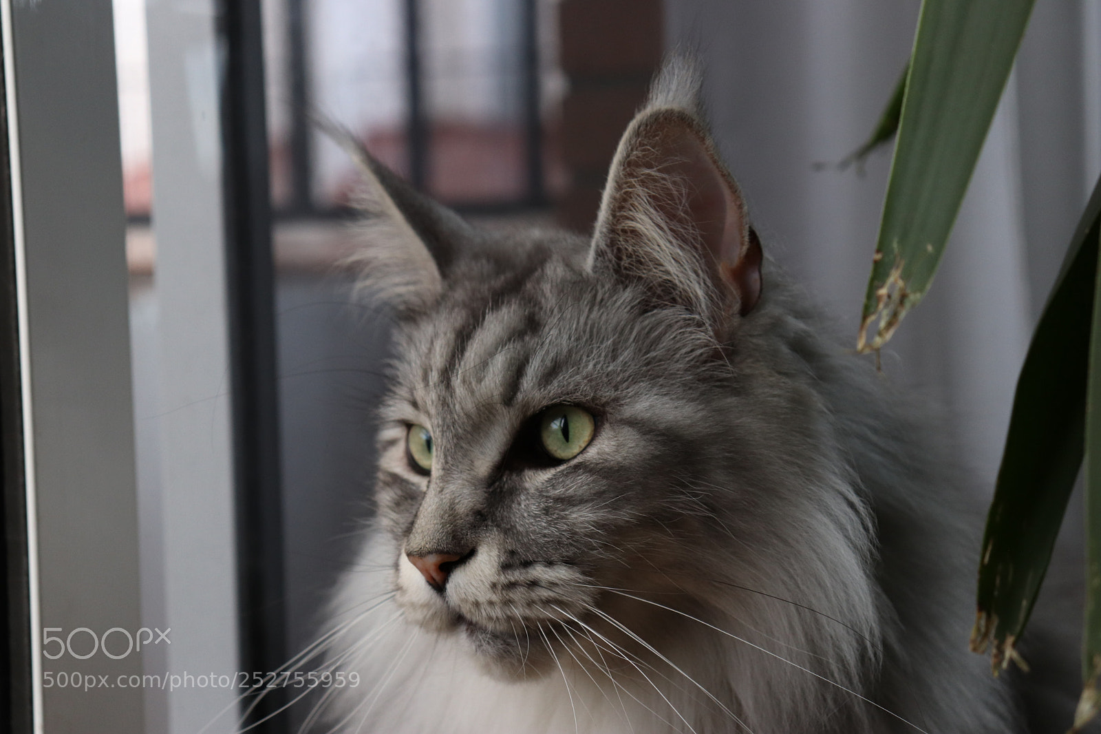 Canon EOS 800D (EOS Rebel T7i / EOS Kiss X9i) sample photo. Hastings photography