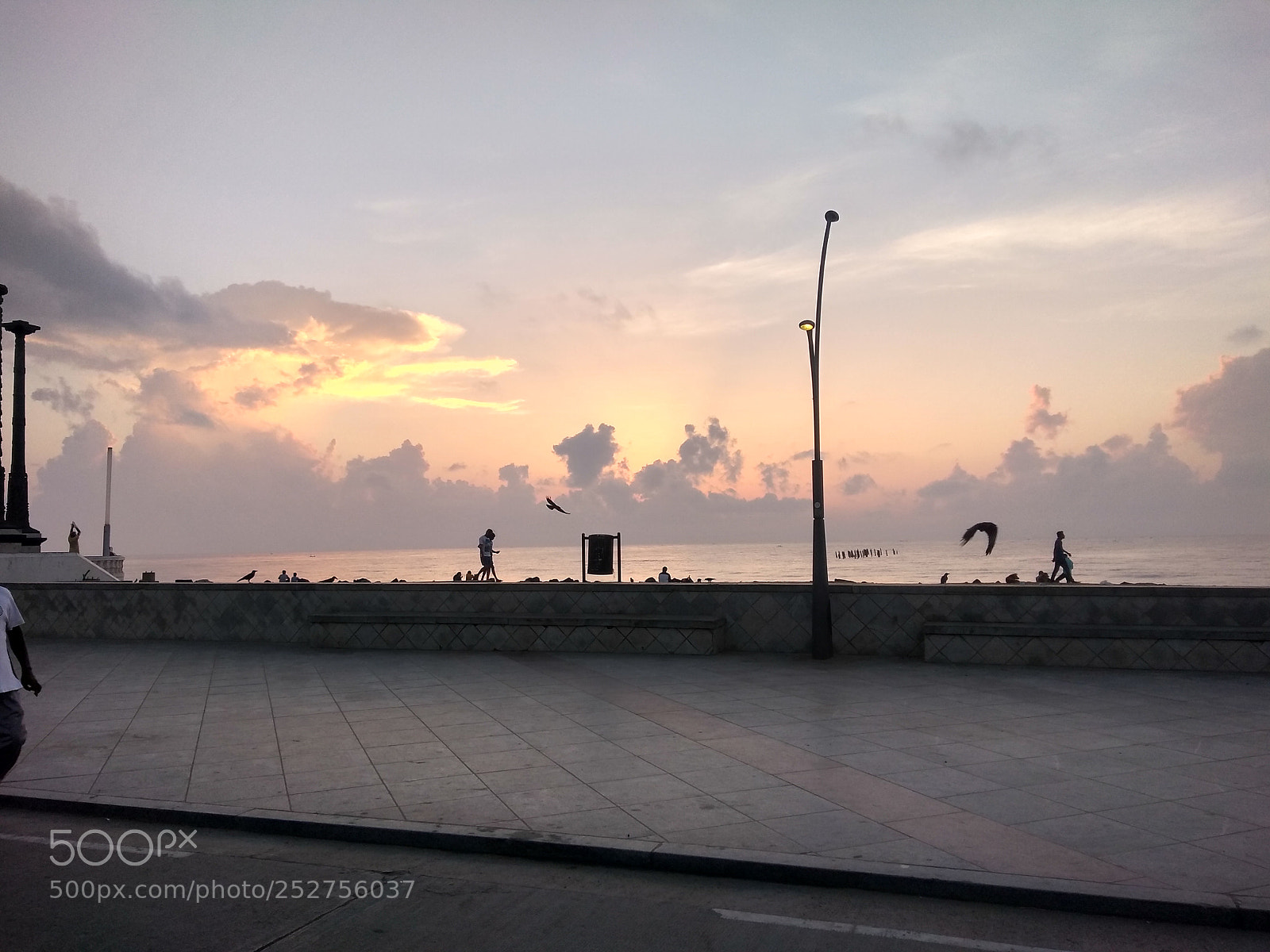 Motorola Moto G (5S) Plus sample photo. Untitled photography