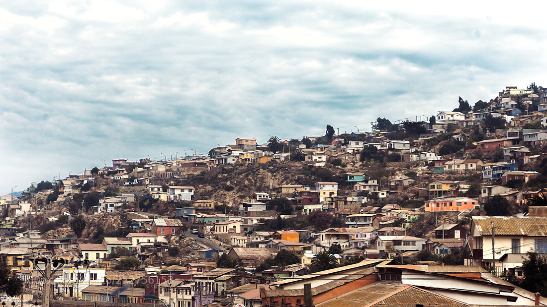 Canon EOS-1D Mark III sample photo. Coquimbo photography