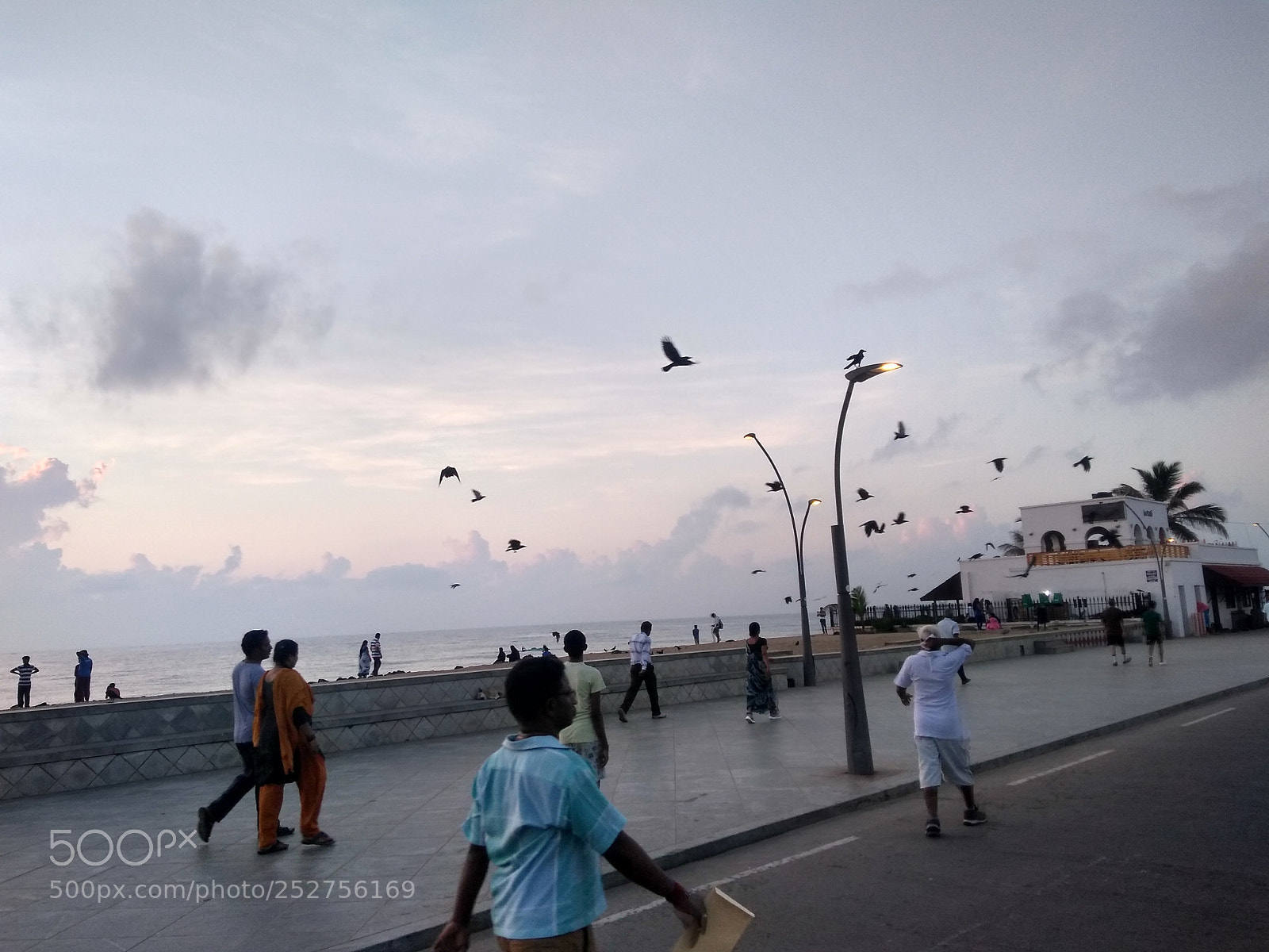 Motorola Moto G (5S) Plus sample photo. Untitled photography