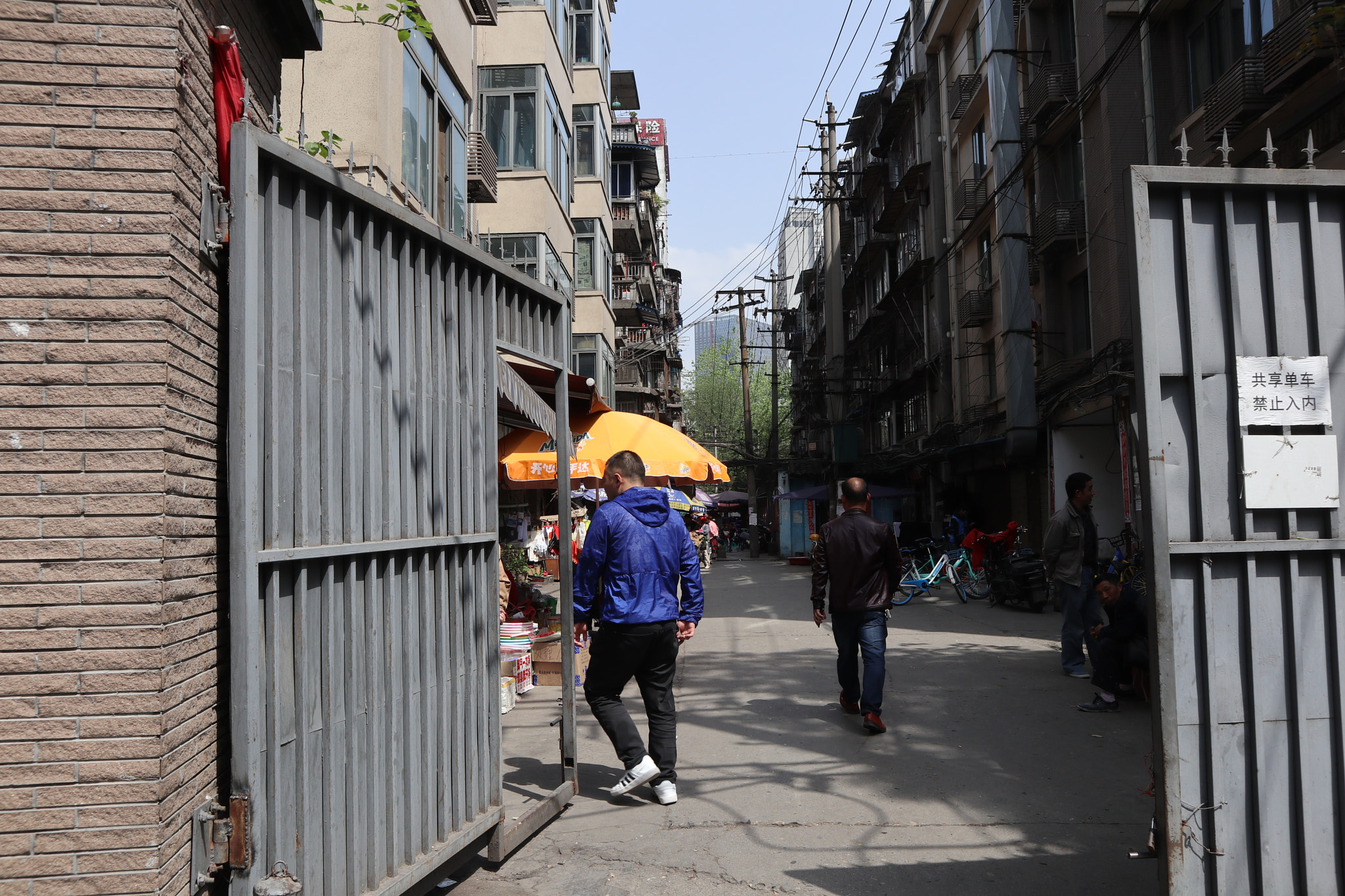 Canon EOS M5 sample photo. Img photography