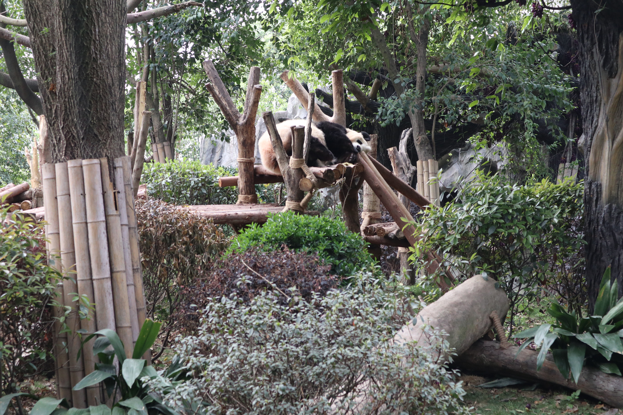 Canon EOS M5 sample photo. Img photography