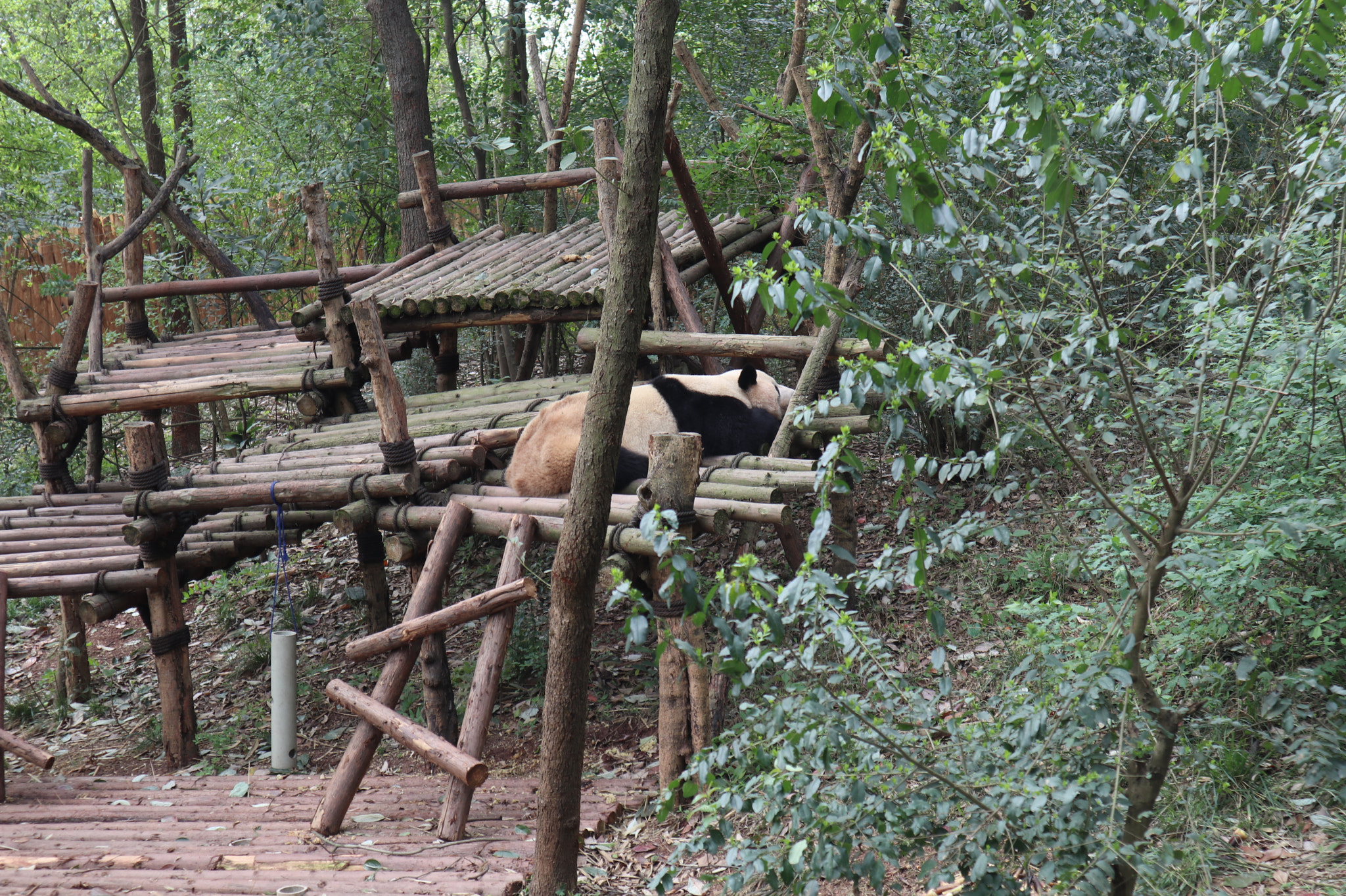 Canon EOS M5 sample photo. Img photography
