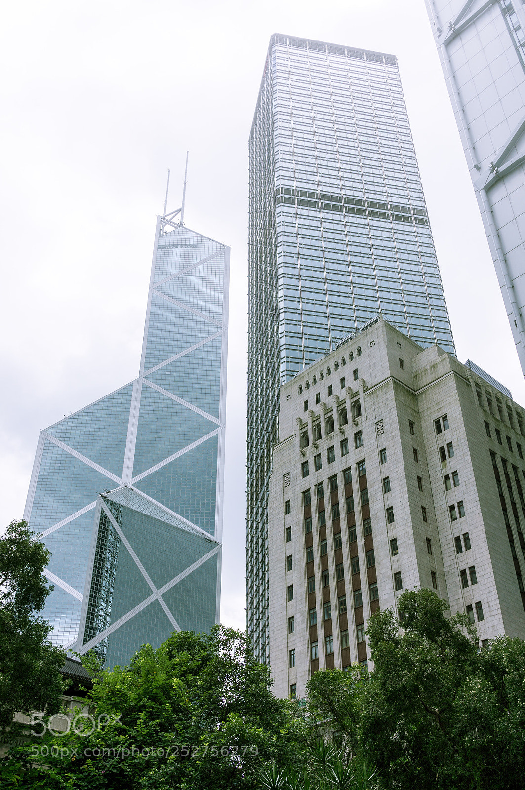 Sony Alpha NEX-5N sample photo. Jungle vs city photography