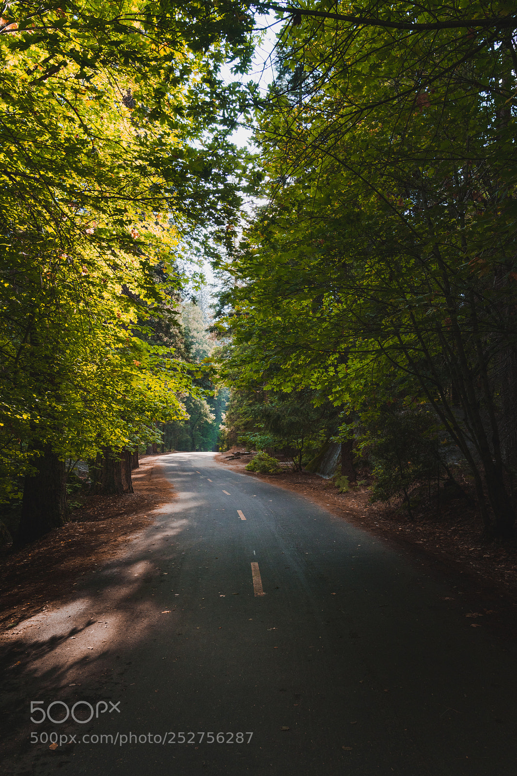 Sony a7R II sample photo. Our road taken photography