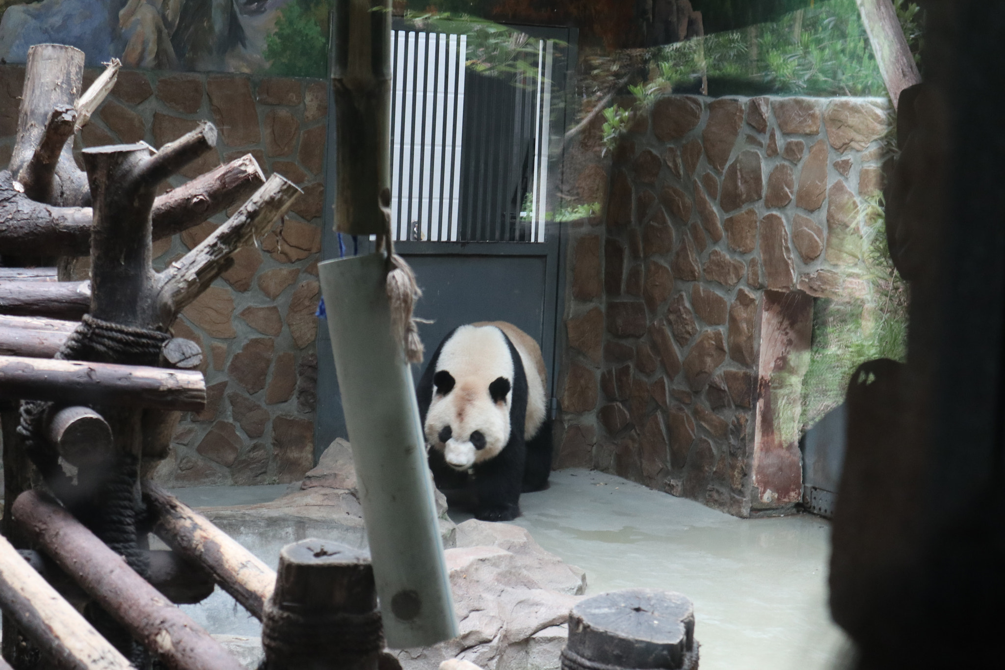 Canon EOS M5 sample photo. Img photography
