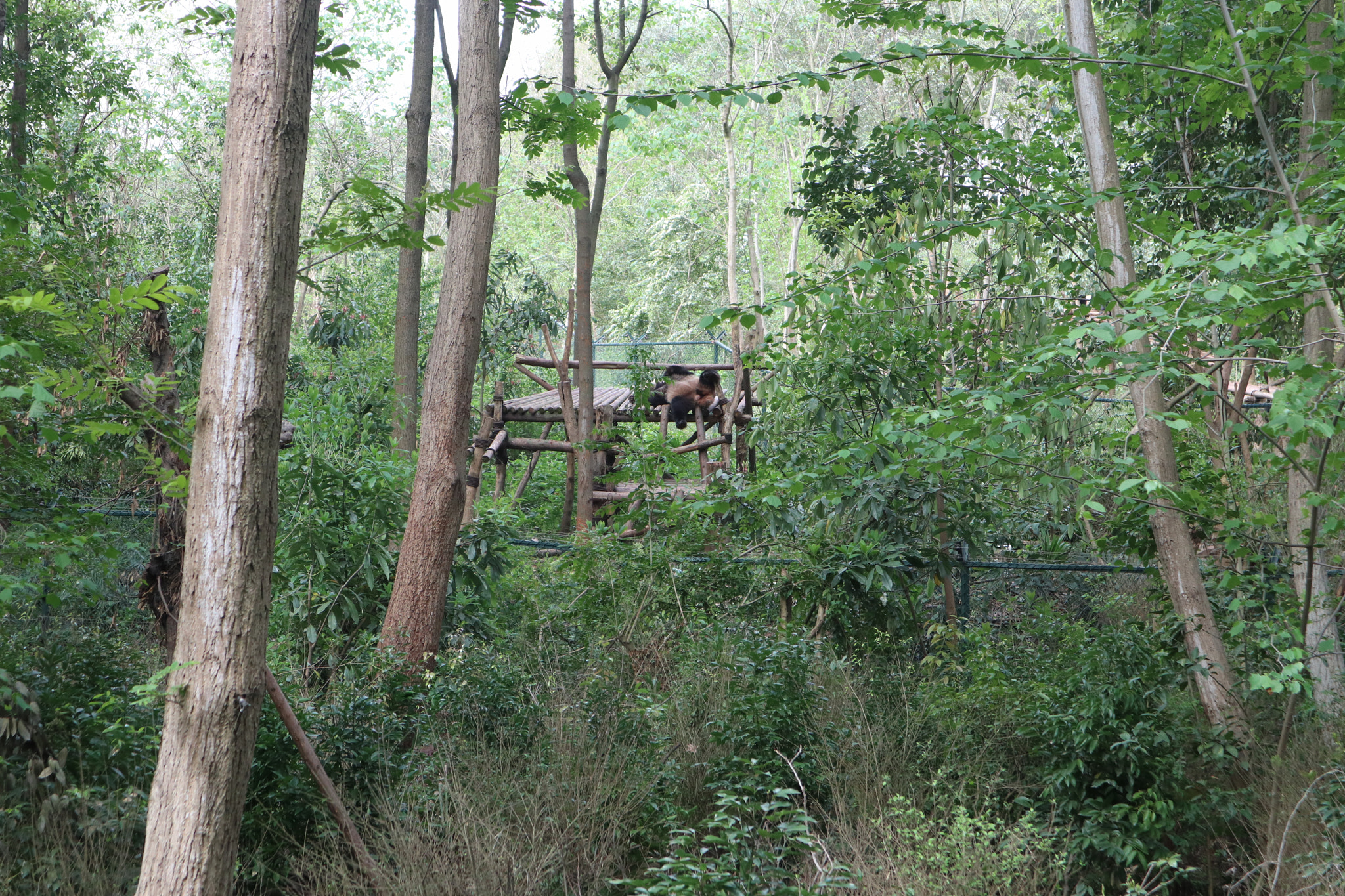 Canon EOS M5 sample photo. Img photography