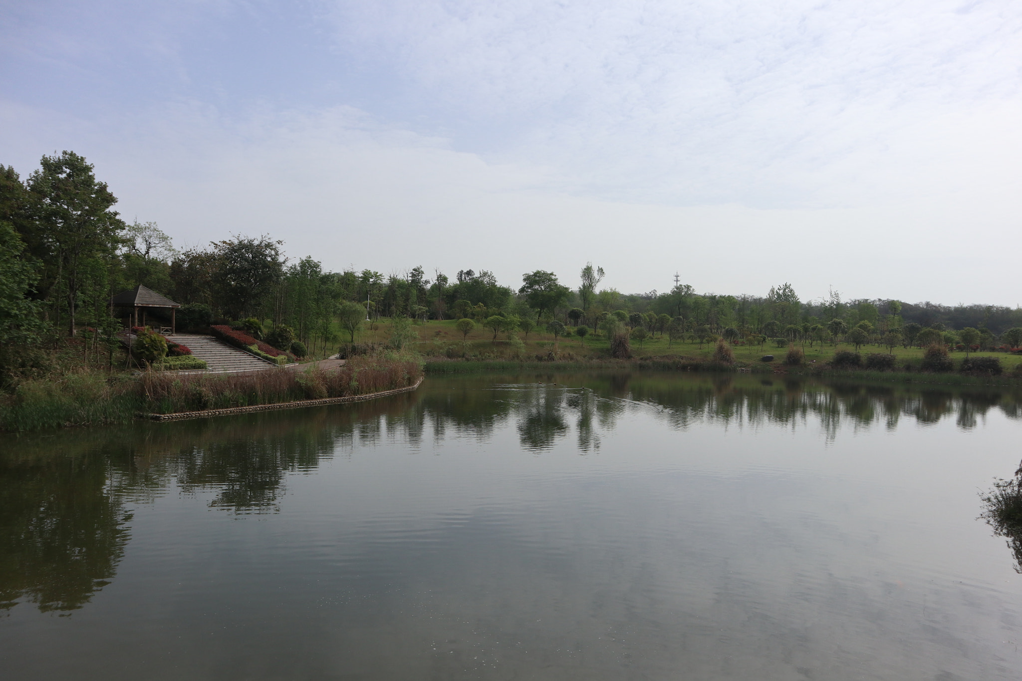 Canon EOS M5 sample photo. Img photography