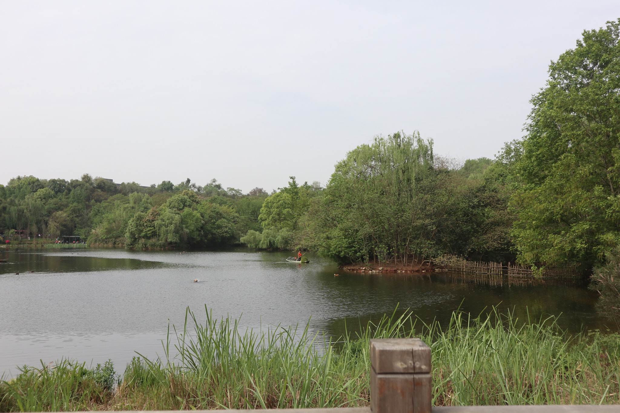 Canon EOS M5 sample photo. Img photography