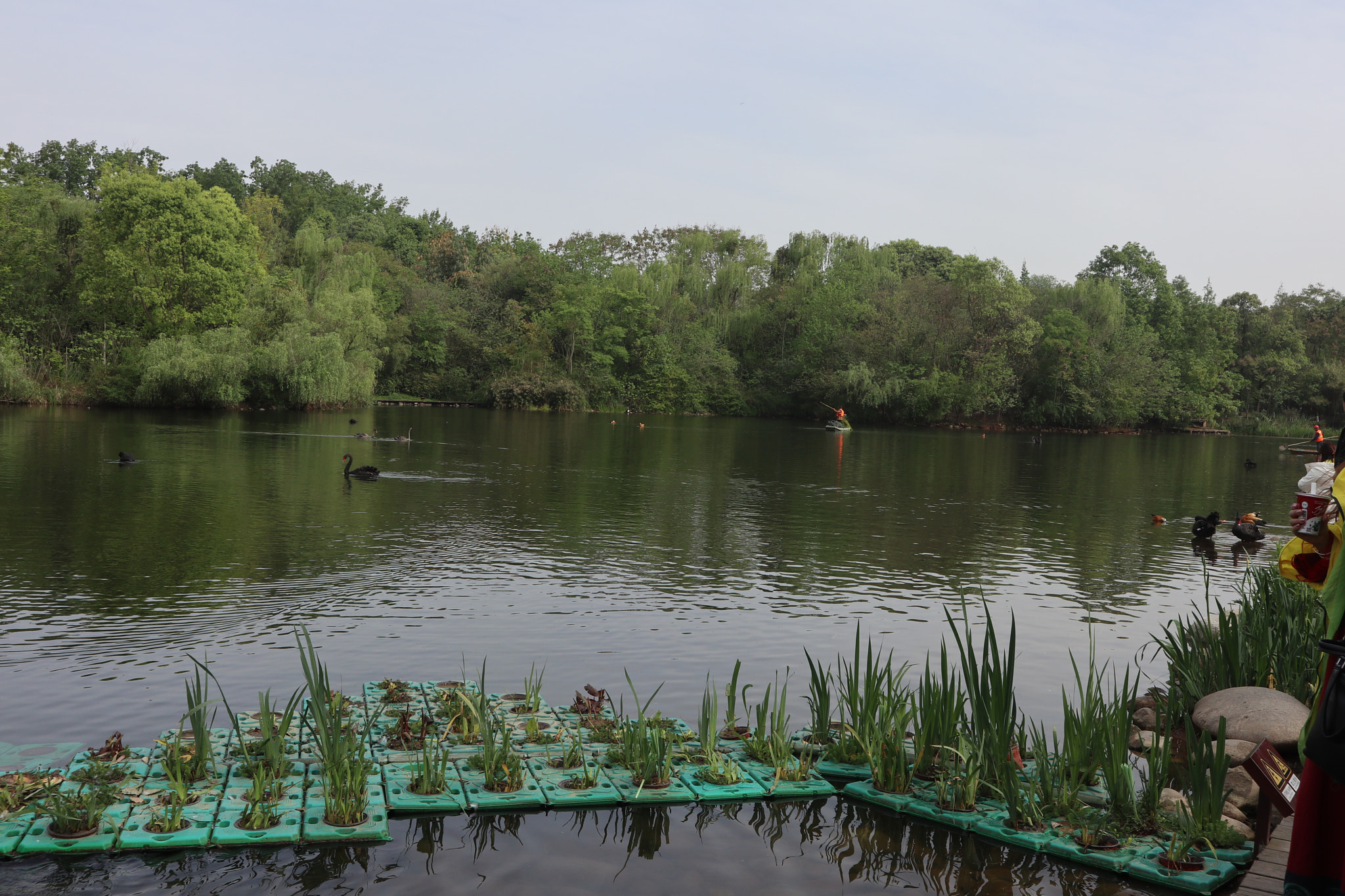 Canon EOS M5 sample photo. Img photography
