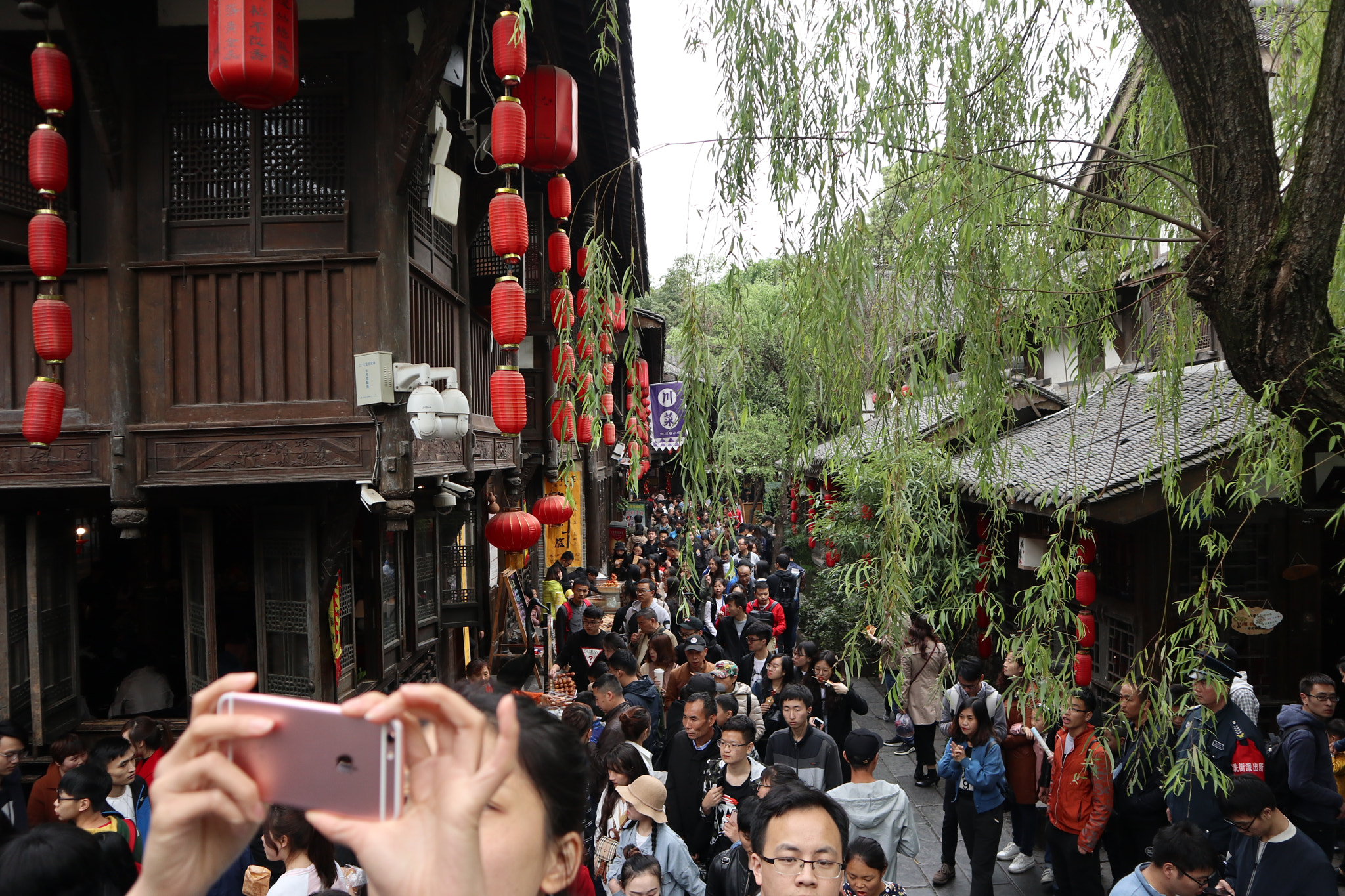 Canon EOS M5 sample photo. Img photography