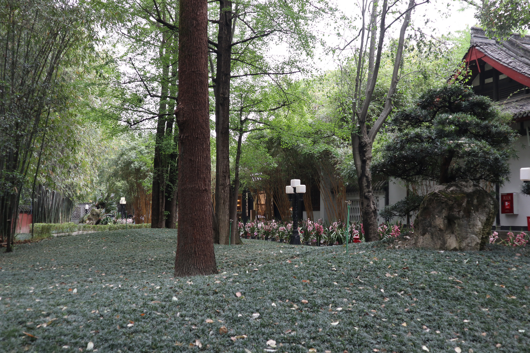 Canon EOS M5 sample photo. Img photography