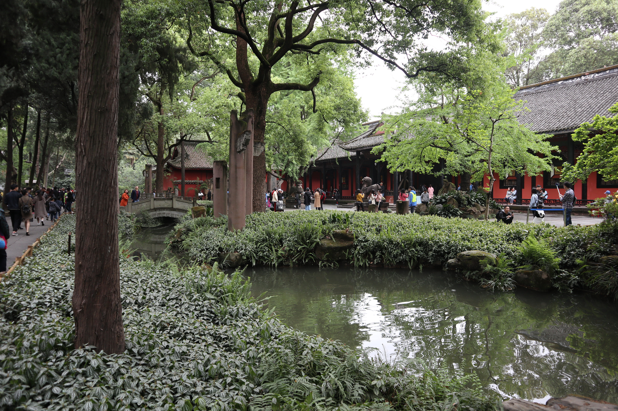 Canon EOS M5 sample photo. Img photography