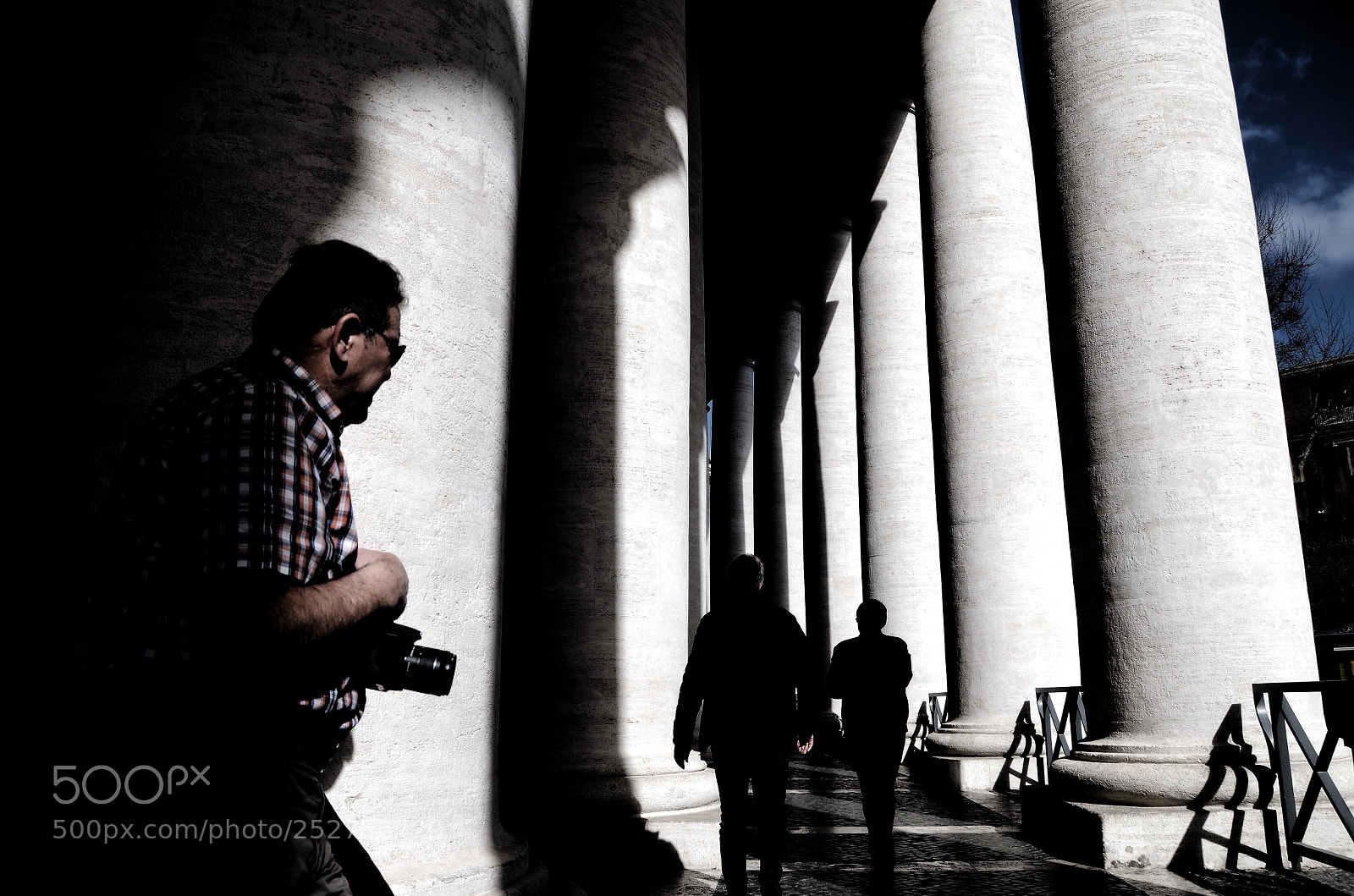 Nikon D5100 sample photo. Untitled photography