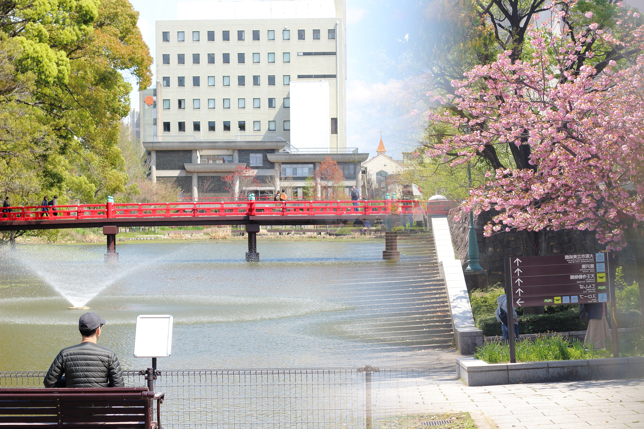 Canon EOS 100D (EOS Rebel SL1 / EOS Kiss X7) + Canon EF 50mm F1.8 II sample photo. 橋と桜（bridge and cherry blossoms） photography
