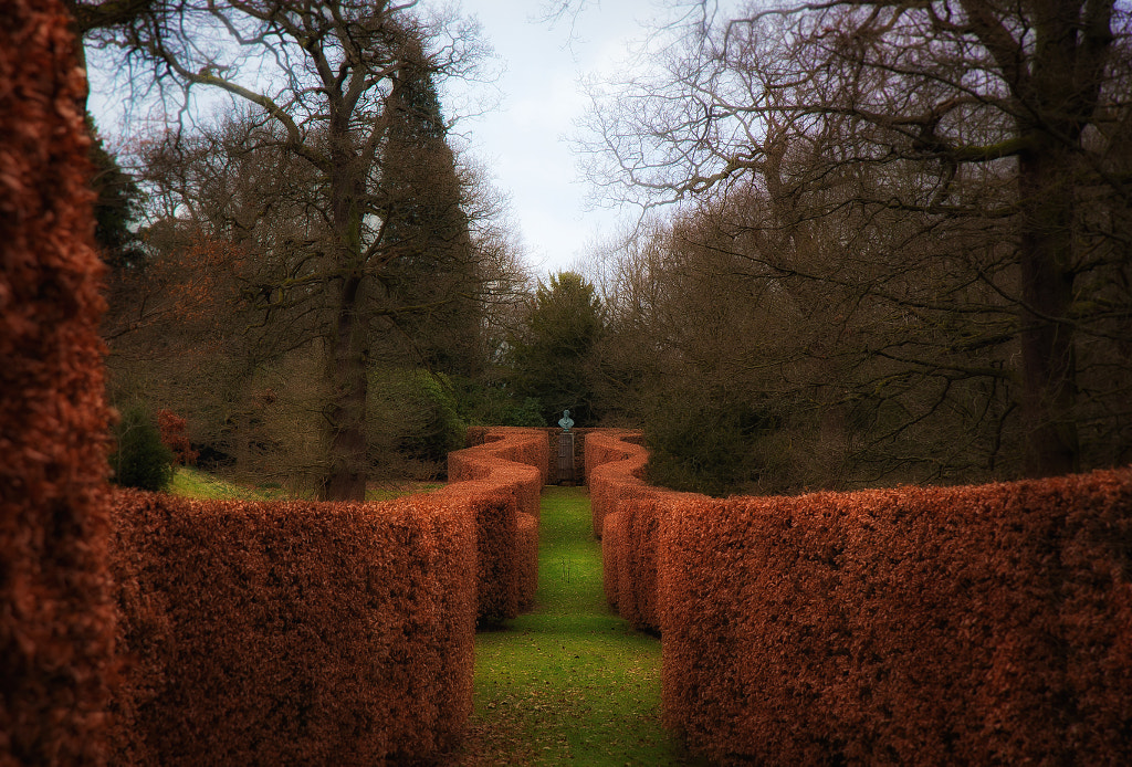 Serpentine Beech Hedge at Chatsworth Gardens, автор — Gordon Tweedale на 500px.com