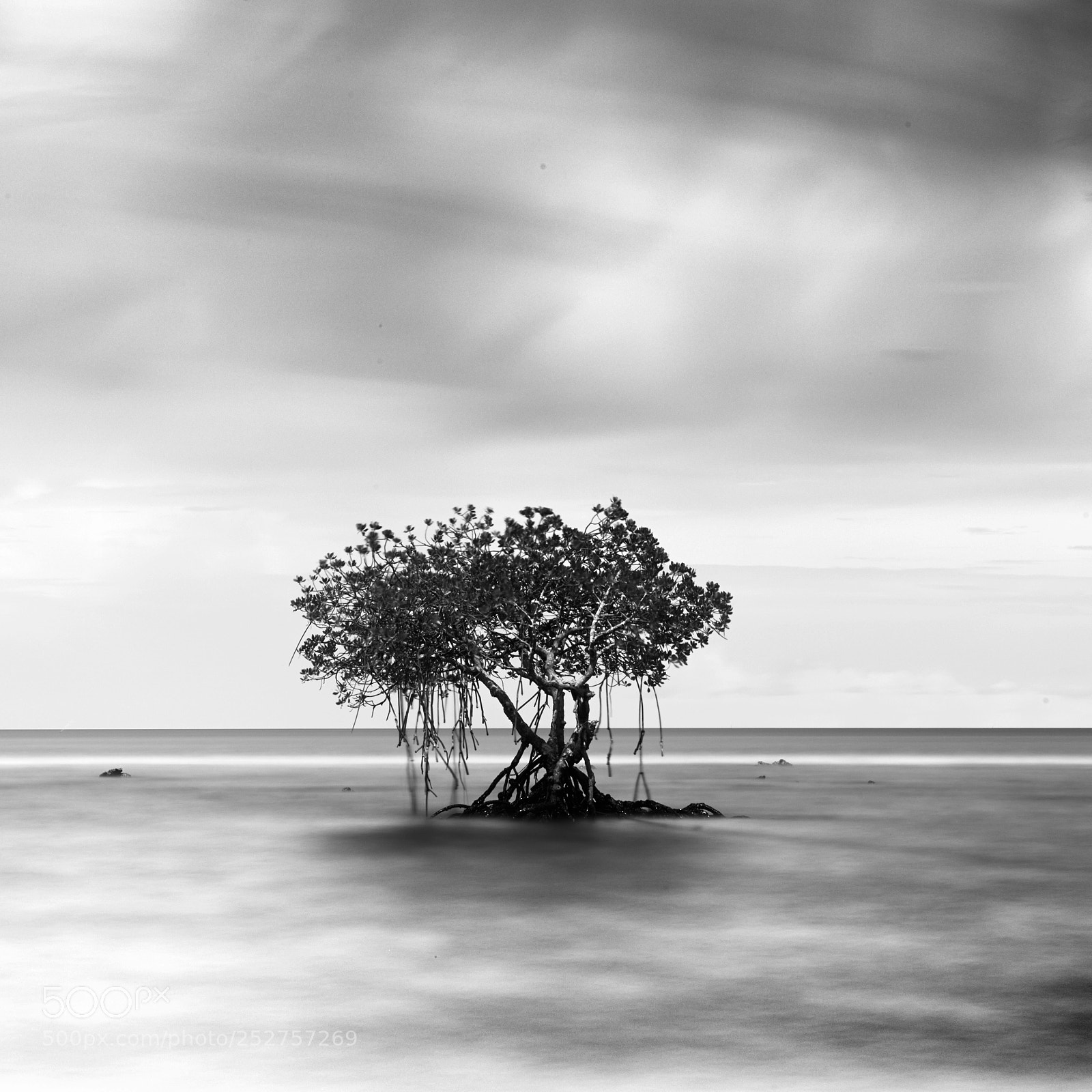 Canon EOS 5D Mark IV sample photo. Solitaire photography