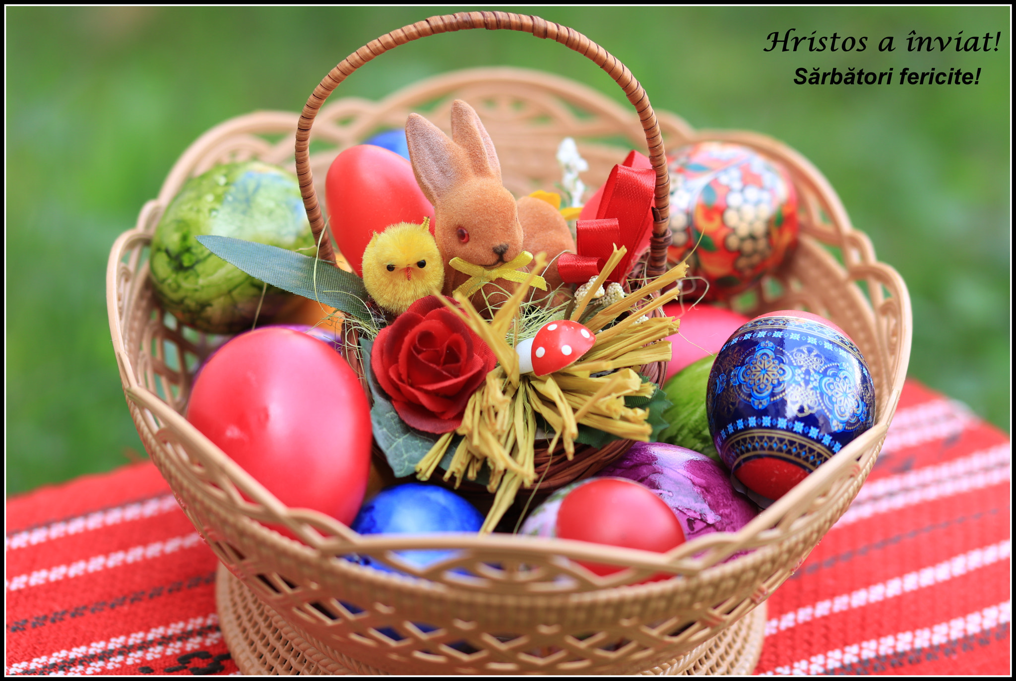 Canon EOS 77D (EOS 9000D / EOS 770D) + Sigma 105mm F2.8 EX DG OS HSM sample photo. Happy easter! photography
