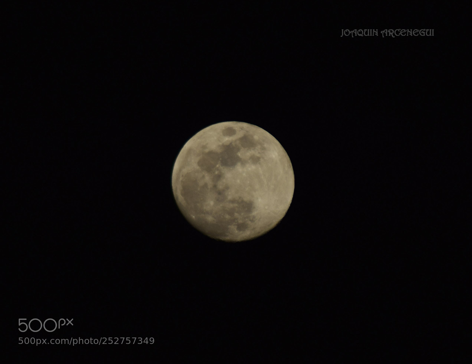 Nikon D5300 sample photo. () photography