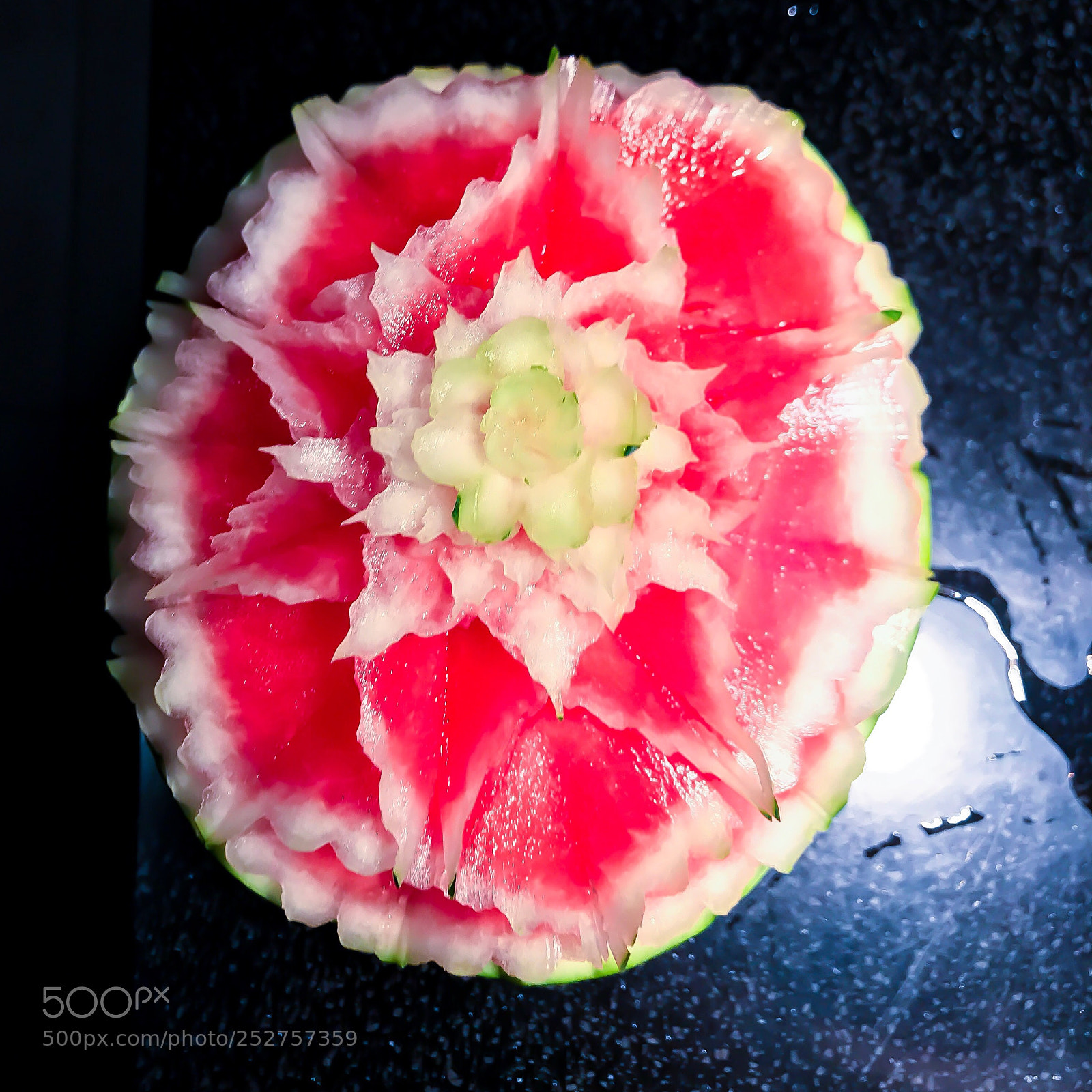 Apple iPhone 7 Plus sample photo. Flower o de watermelon photography