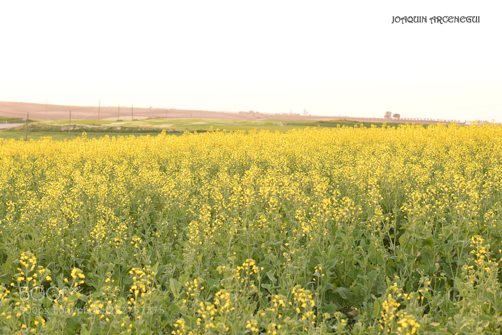 Nikon D5300 sample photo. () photography