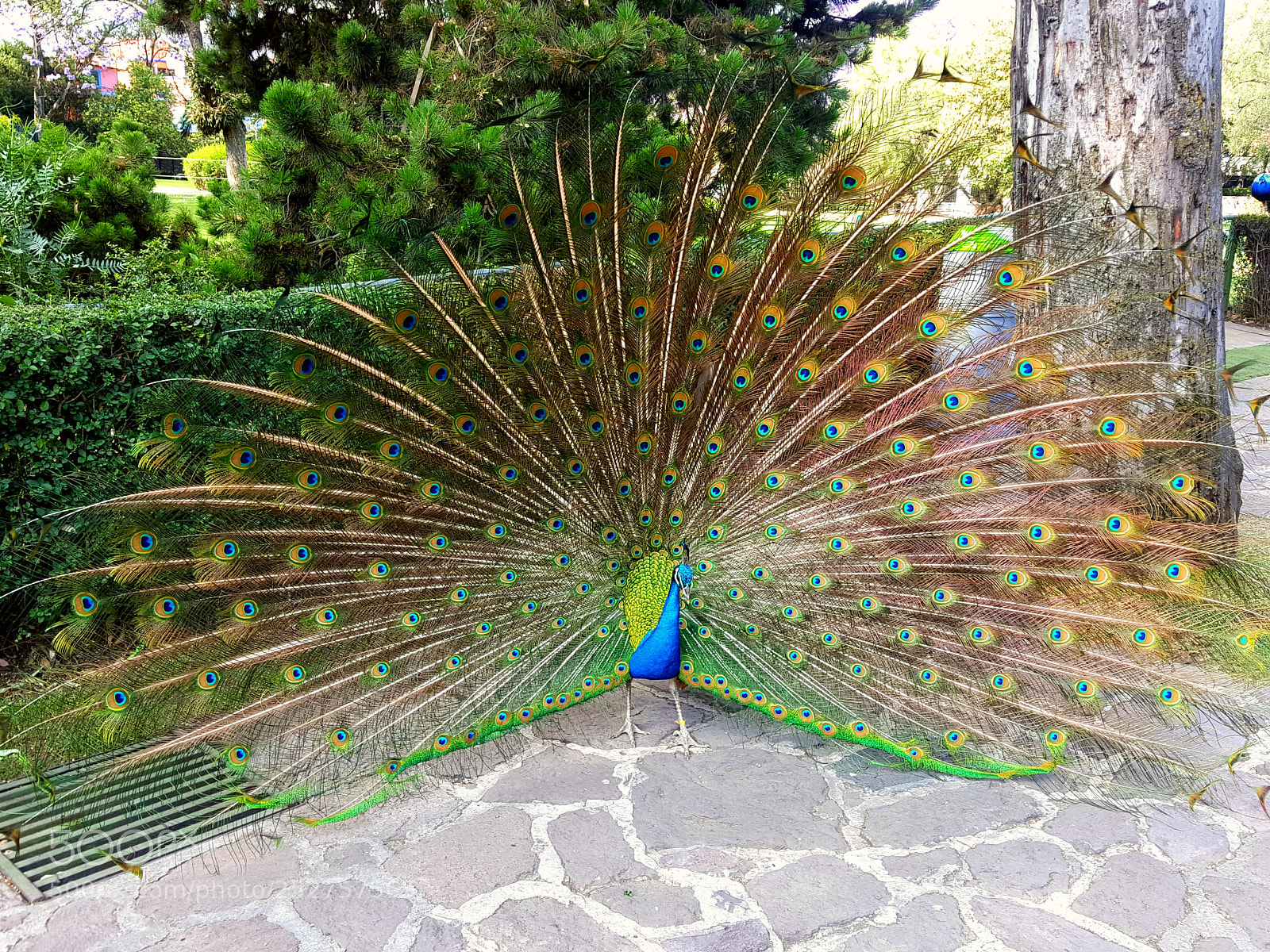 Samsung GALAXY S6 edge sample photo. Untitled photography