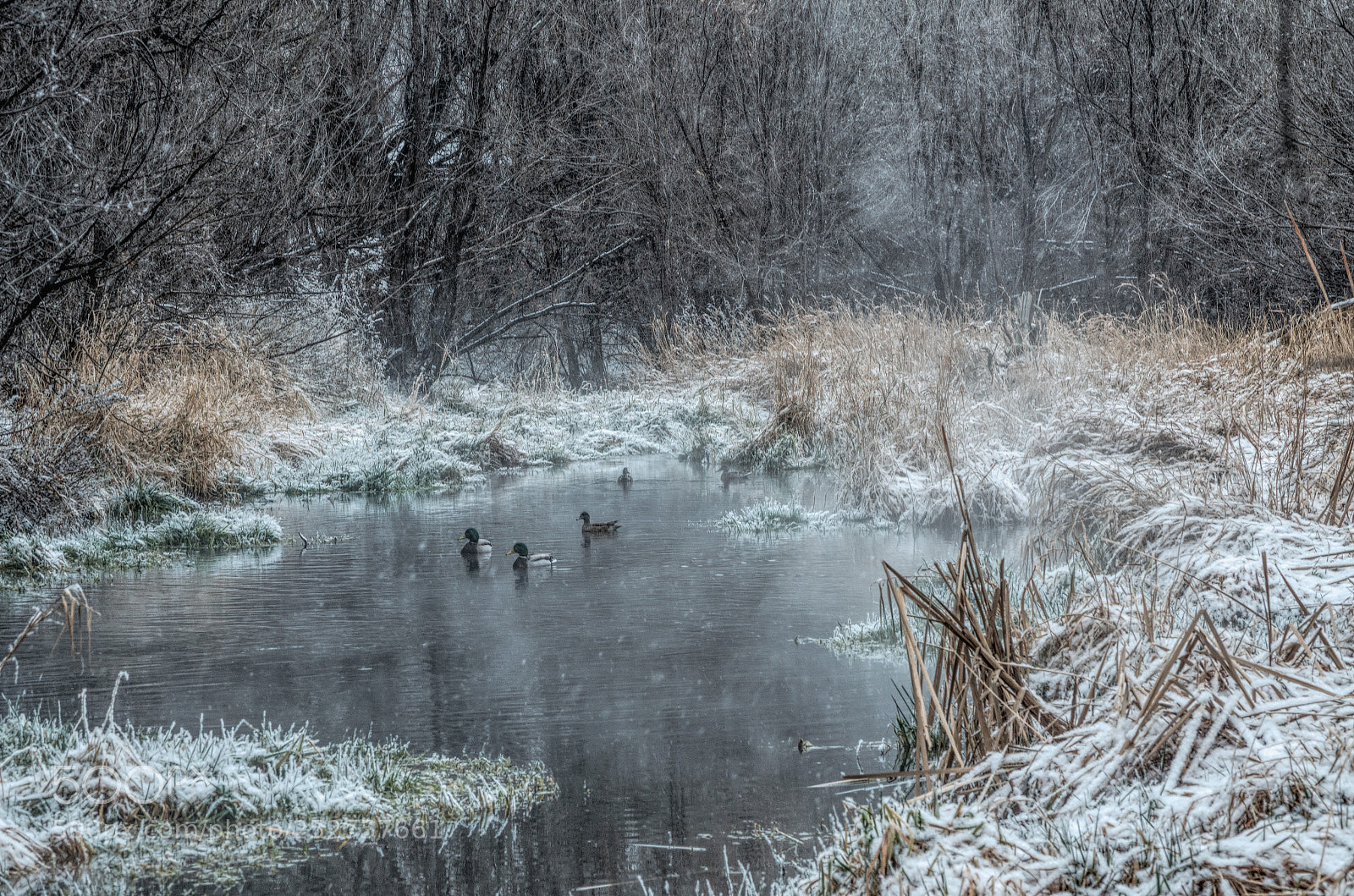 Nikon D7000 sample photo. Early spring at the photography