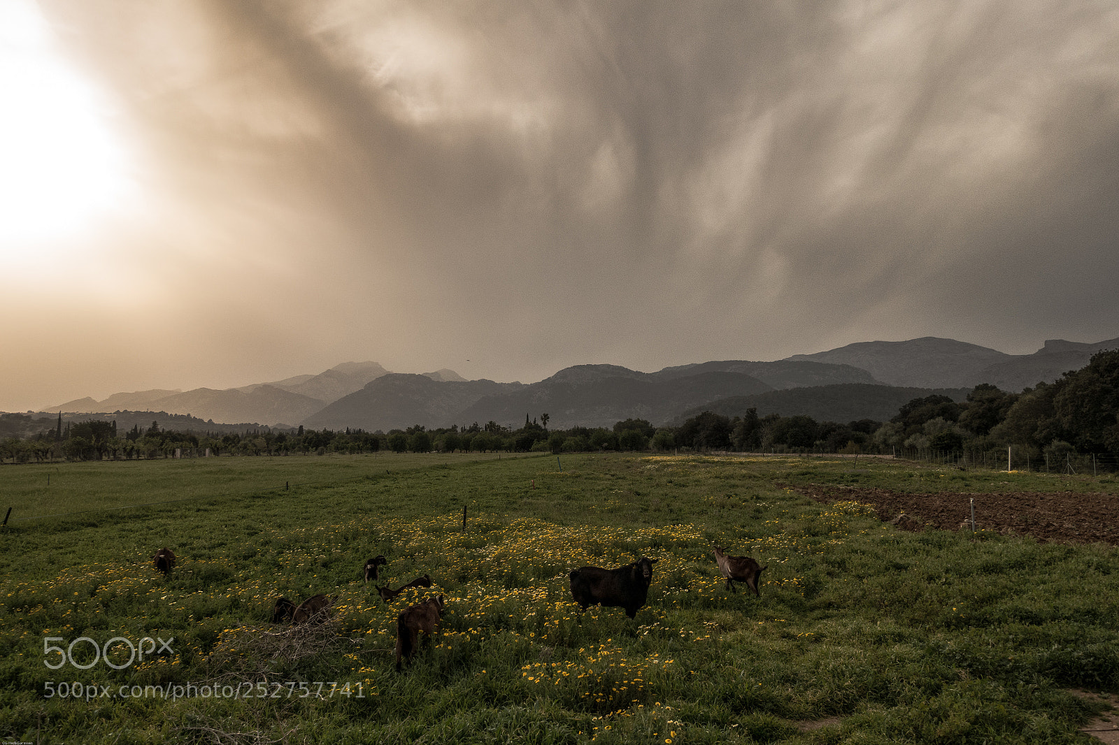 Sony Cyber-shot DSC-RX100 III sample photo. Mediterranean dusk magic photography