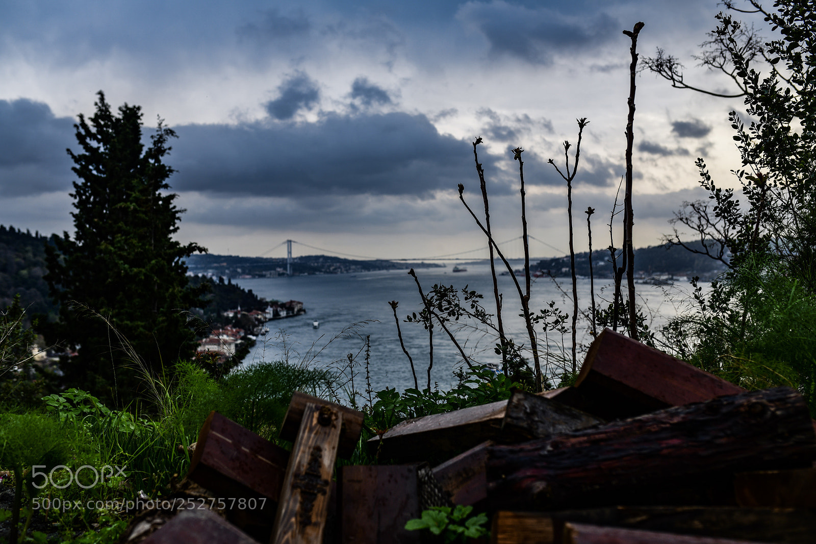 Nikon D850 sample photo. Bosphorus after rain photography