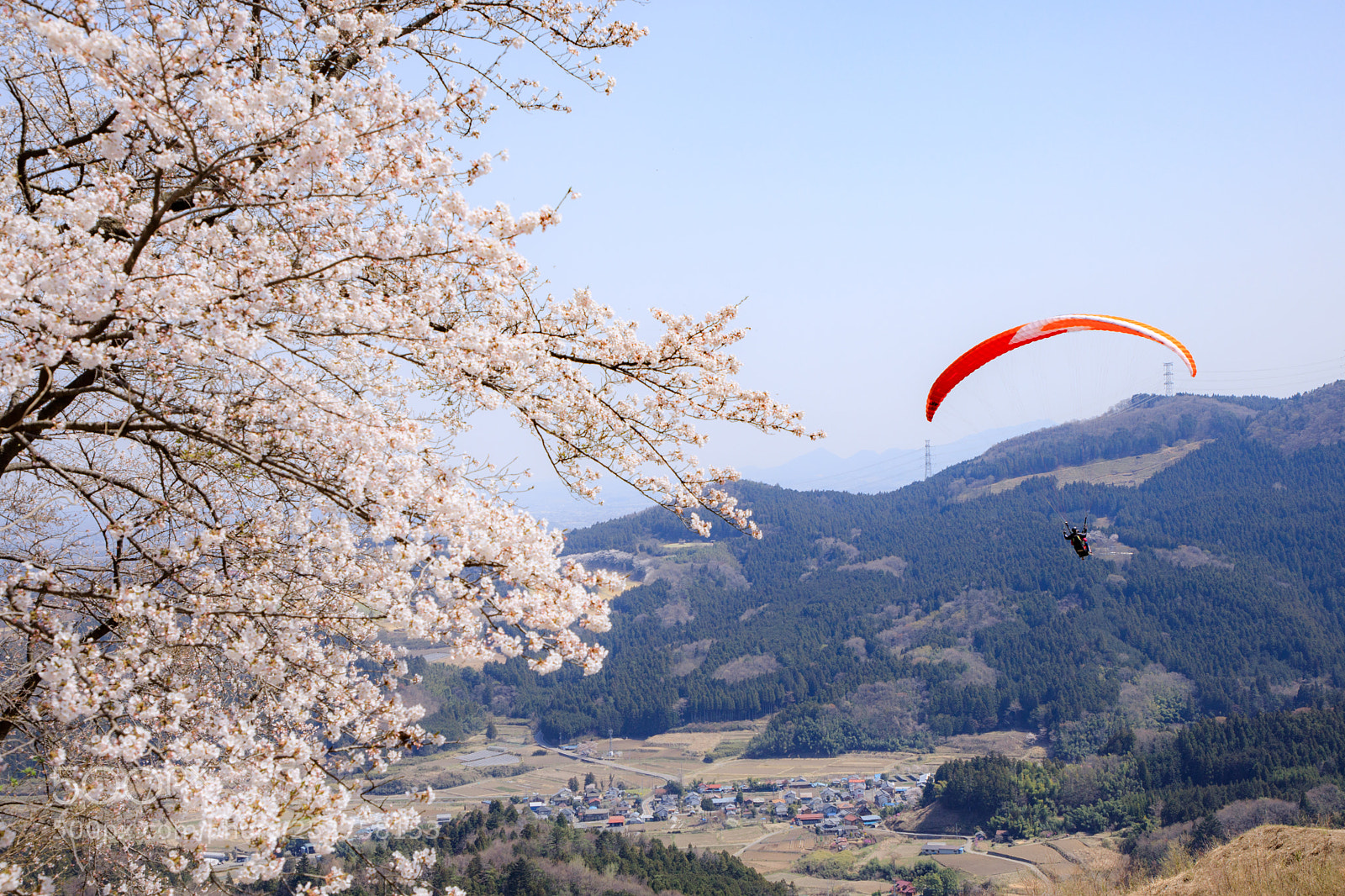 Canon EOS 5D Mark IV sample photo. Sakura cherry blossom and photography